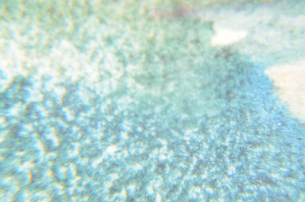 Exene Meyersahm Watercolor Painting