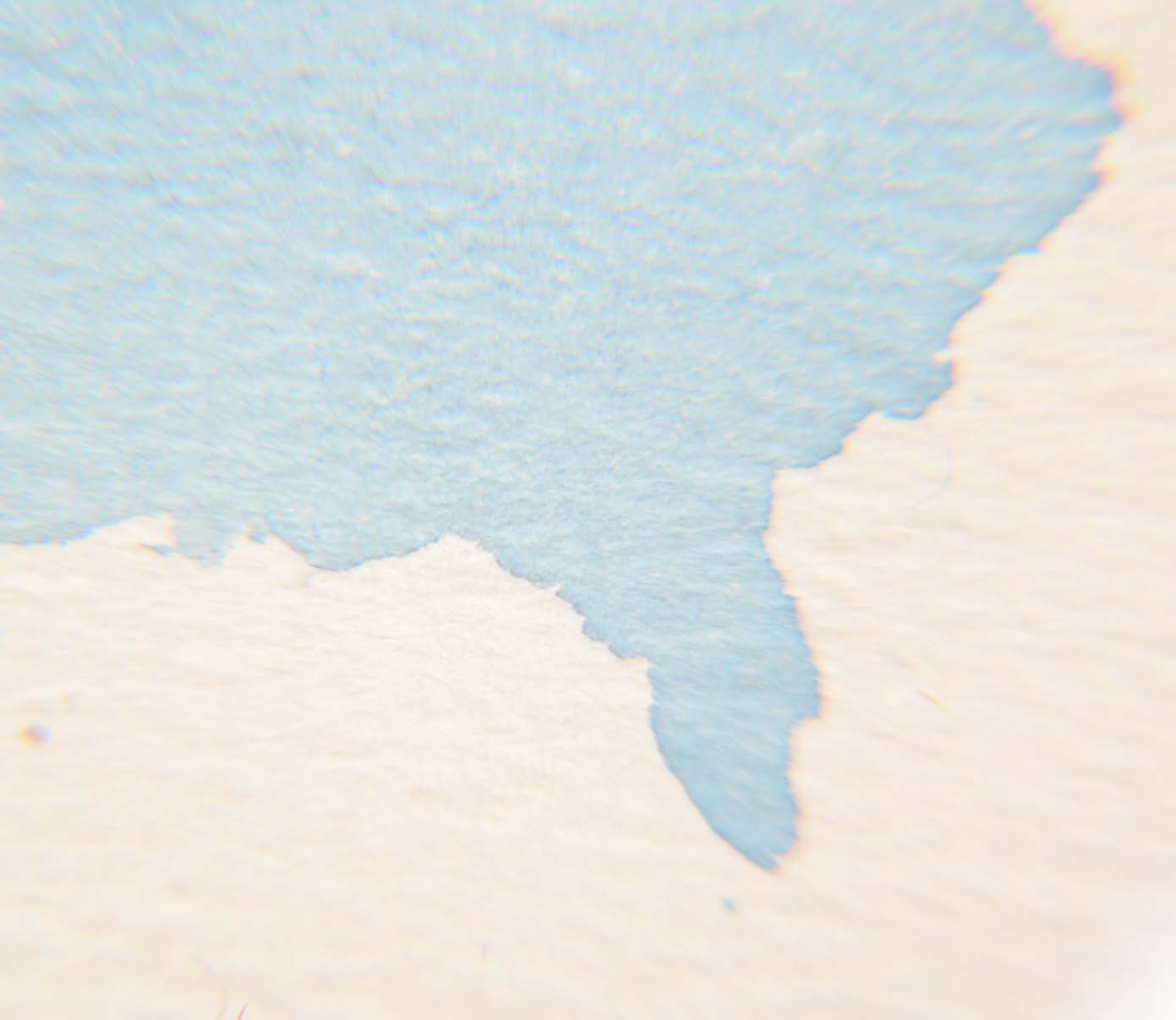 Arthur Douglas Watercolor Painting "Looking from the Field"