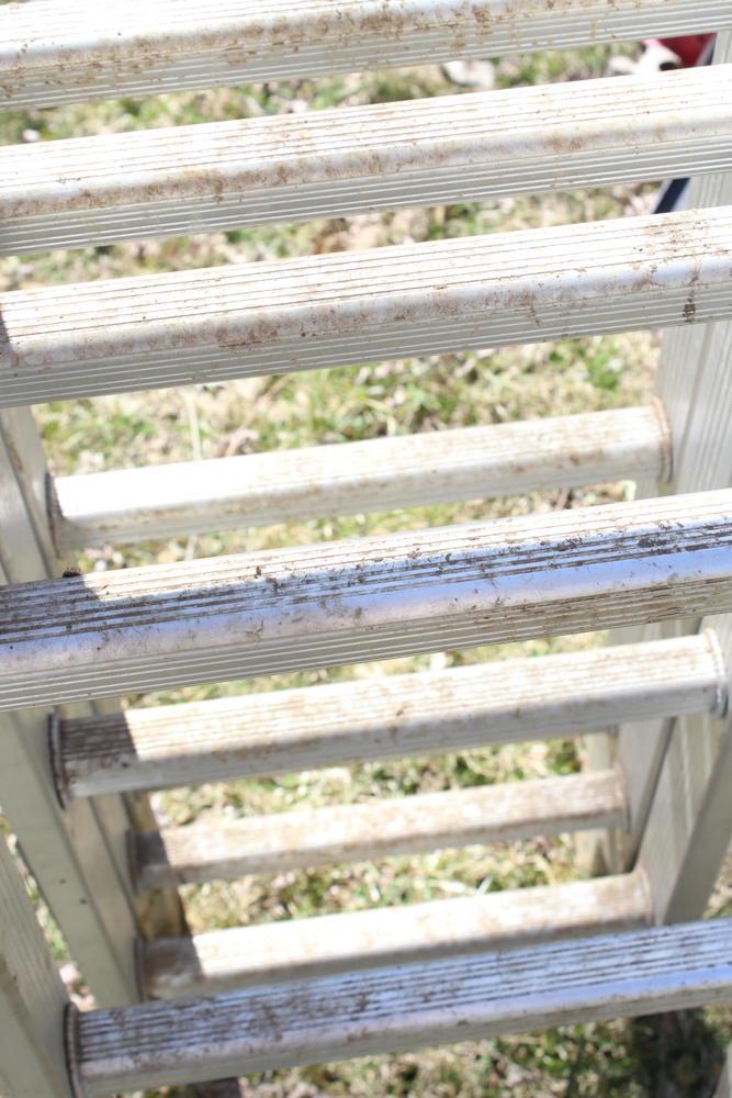 Pro Climber Model 61651 Articulated Ladder