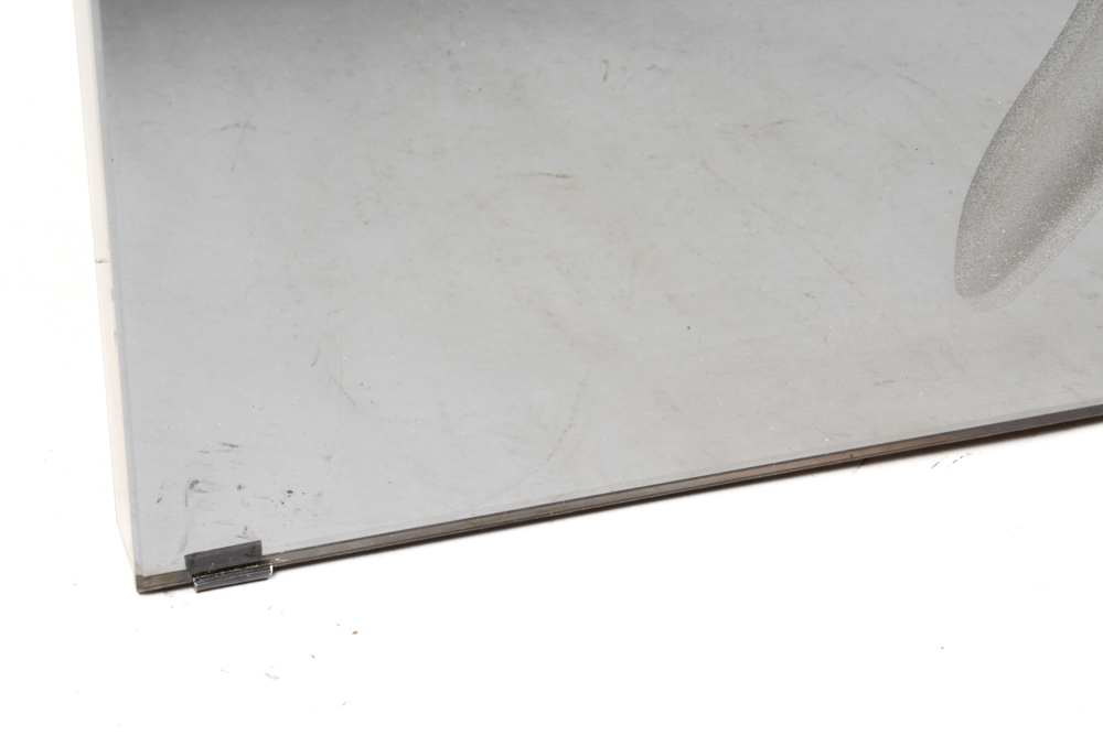 Laser Etched Glass Panel of Portrait