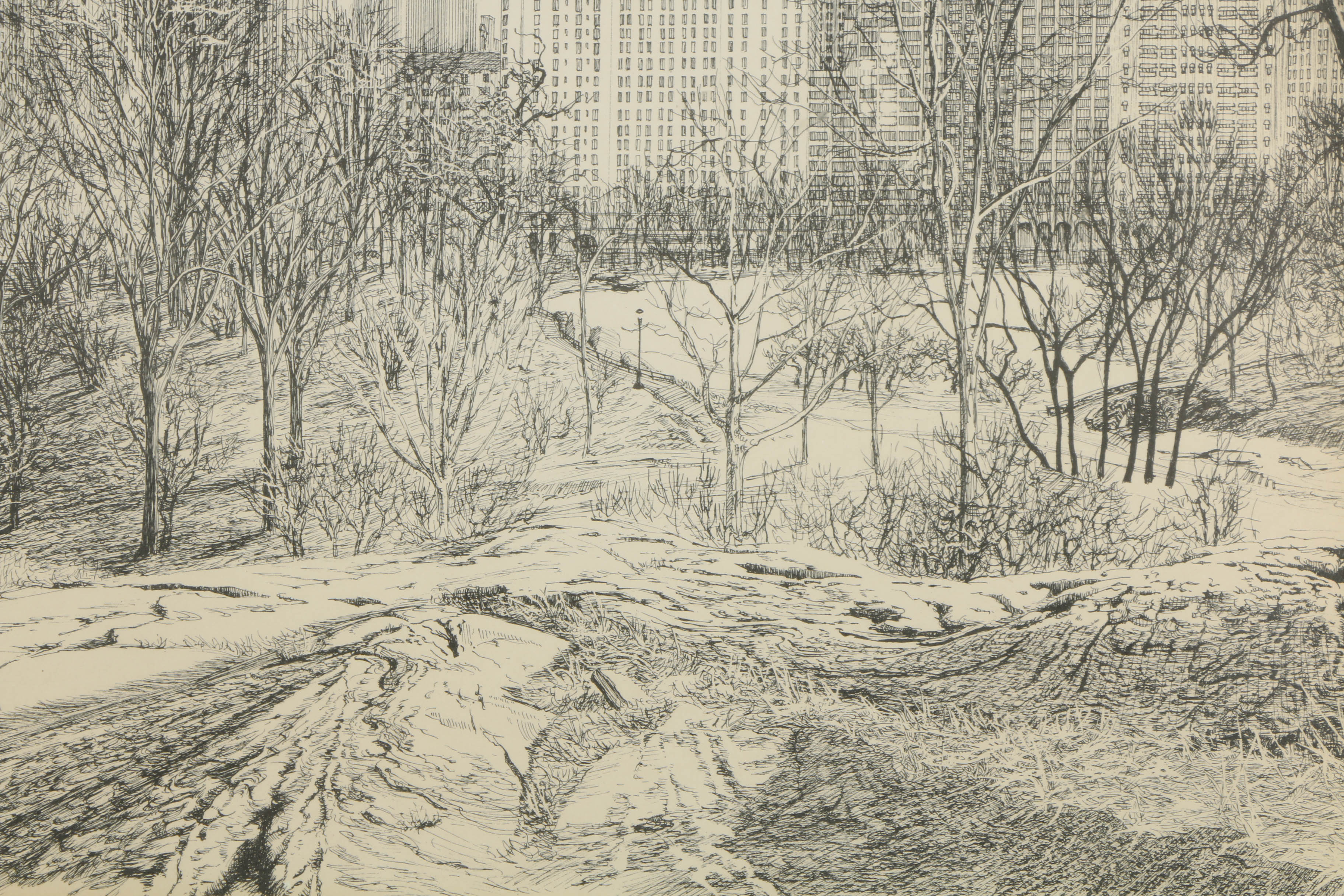 S. Finkenberg Lithograph of Central Park
