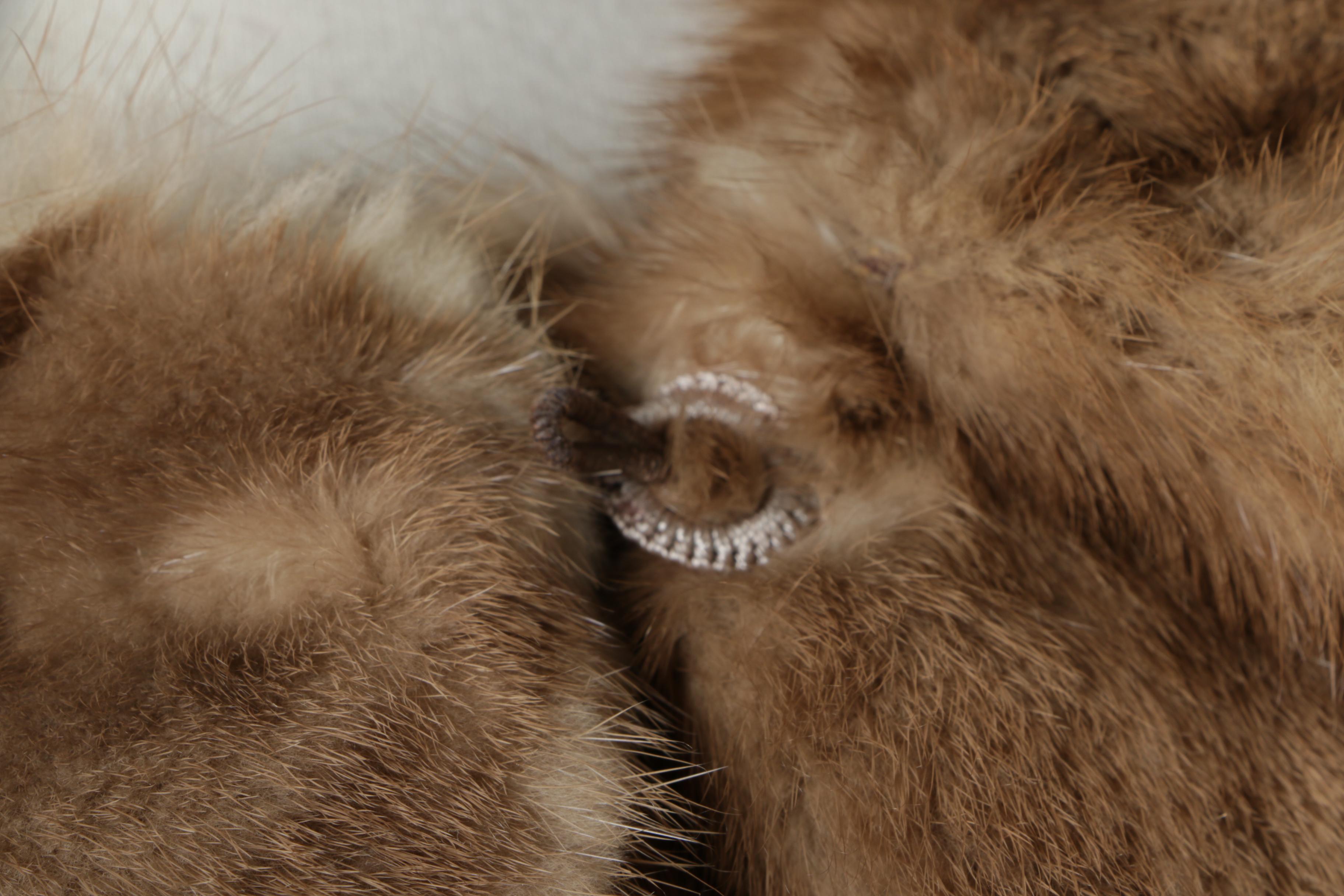 Women's Vintage Peter Duffy Pastel Mink Fur Coat