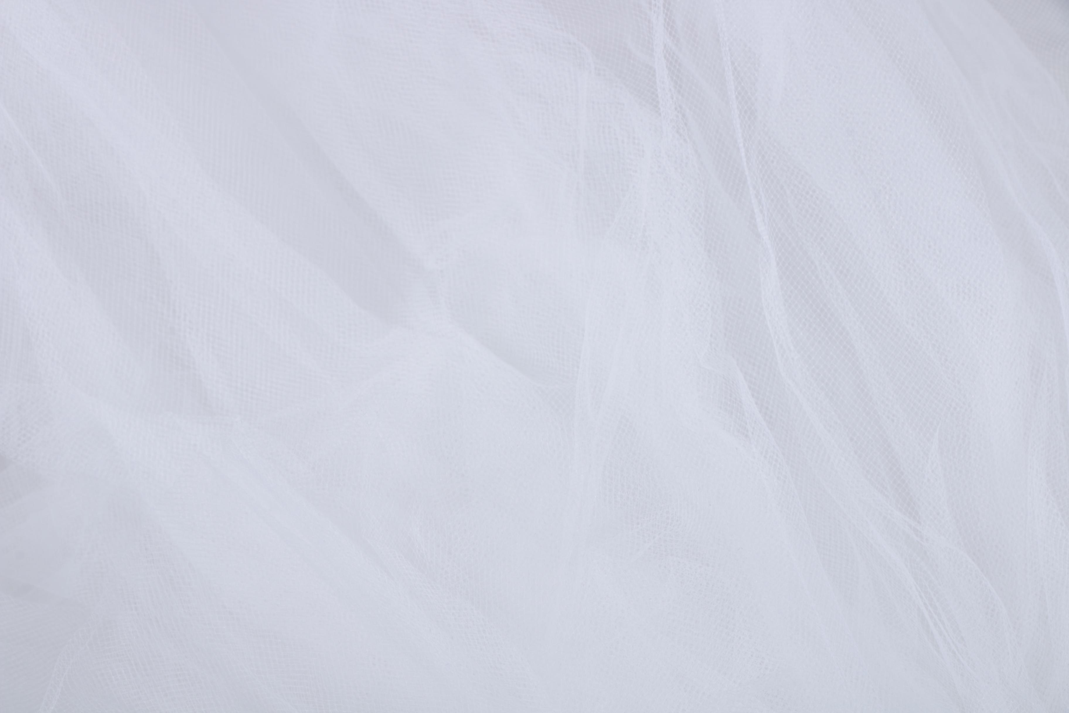 Vintage Basque Waist Wedding Gown with Chapel Train and Headpiece Veil