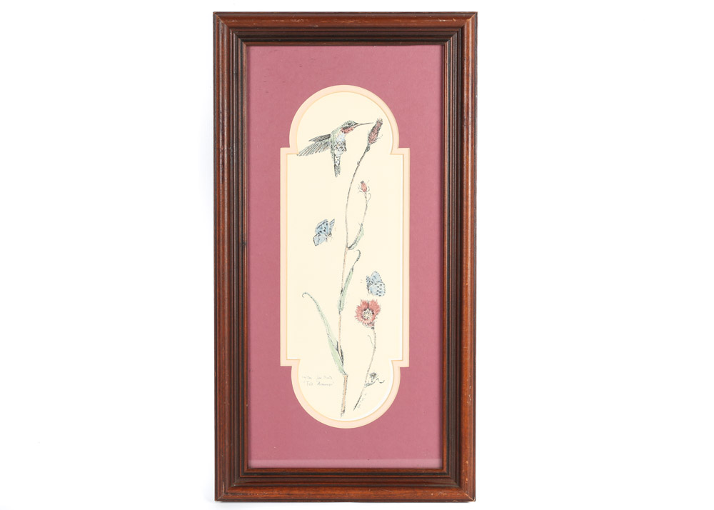 Hand-Colored Limited Edition Etchings Of Hummingbirds by Jan Mintz