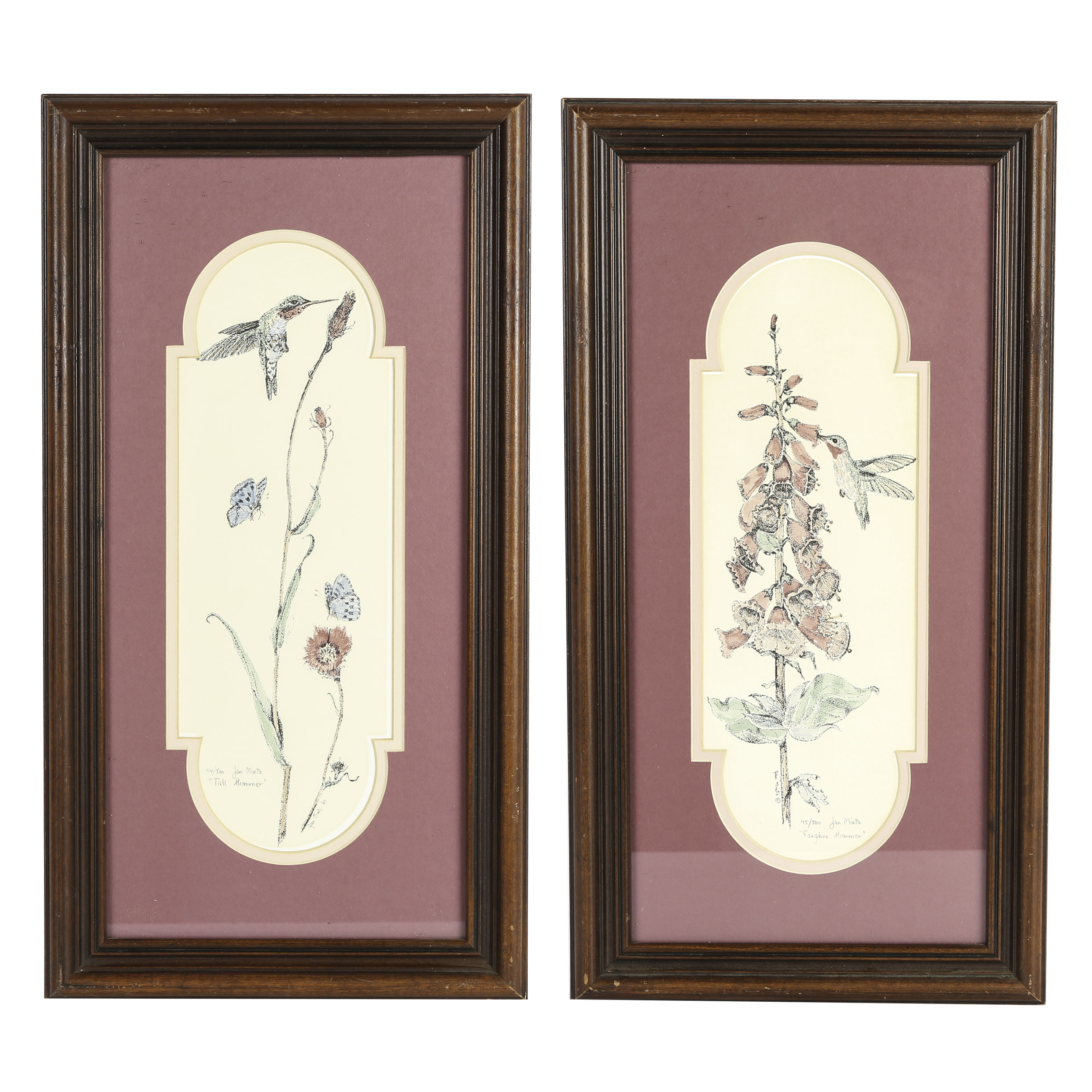 Hand-Colored Limited Edition Etchings Of Hummingbirds by Jan Mintz