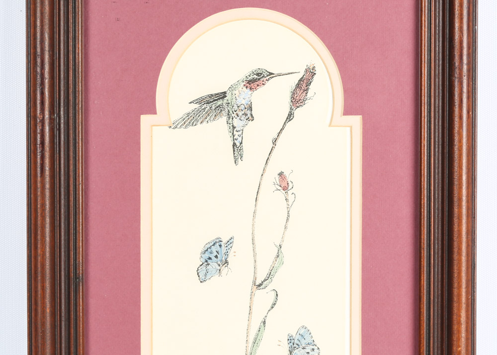 Hand-Colored Limited Edition Etchings Of Hummingbirds by Jan Mintz