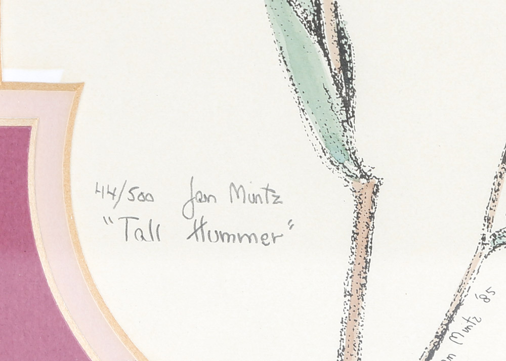 Hand-Colored Limited Edition Etchings Of Hummingbirds by Jan Mintz