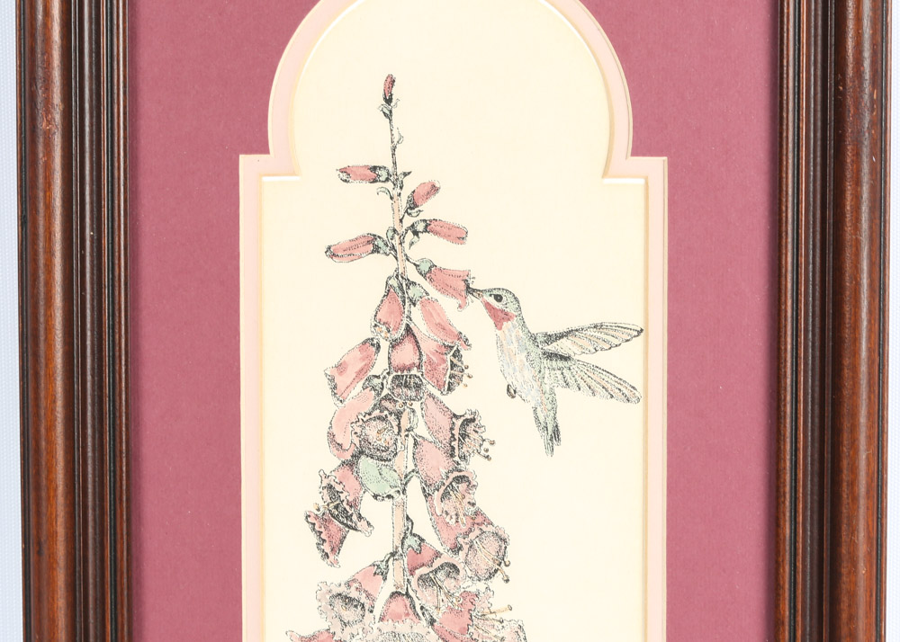 Hand-Colored Limited Edition Etchings Of Hummingbirds by Jan Mintz