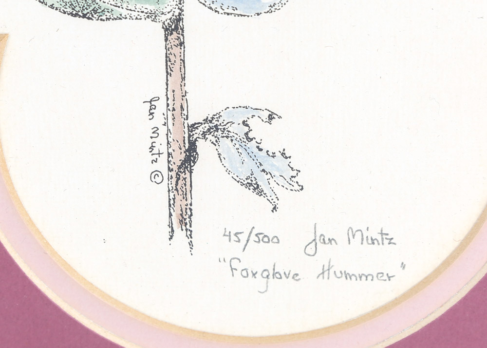 Hand-Colored Limited Edition Etchings Of Hummingbirds by Jan Mintz