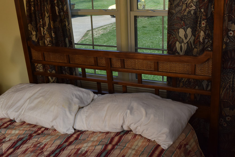 Asian Style Queen Size Canopy Bed