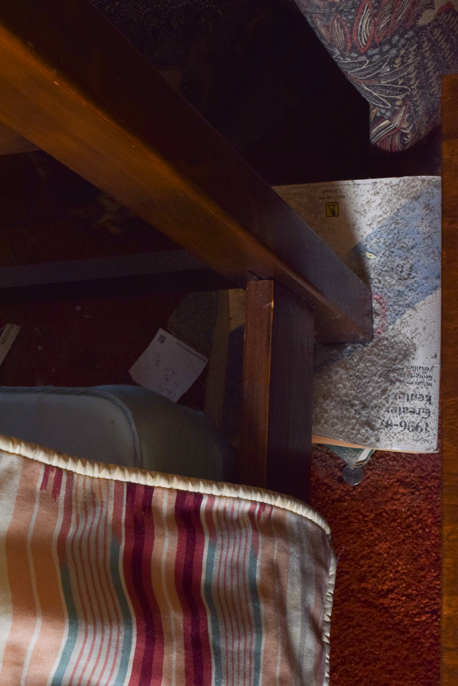 Asian Style Queen Size Canopy Bed