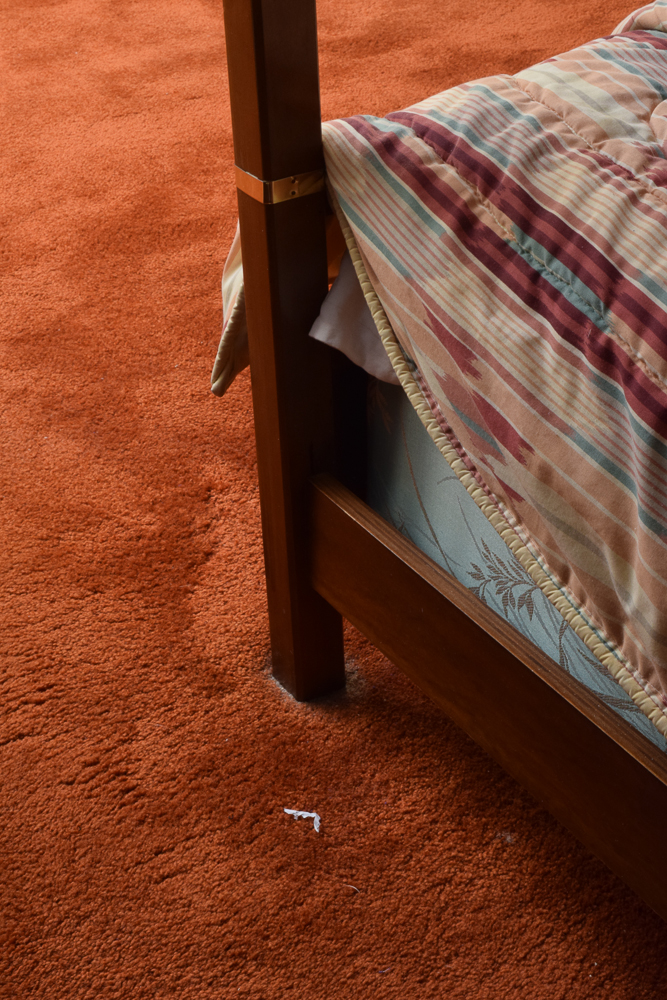 Asian Style Queen Size Canopy Bed