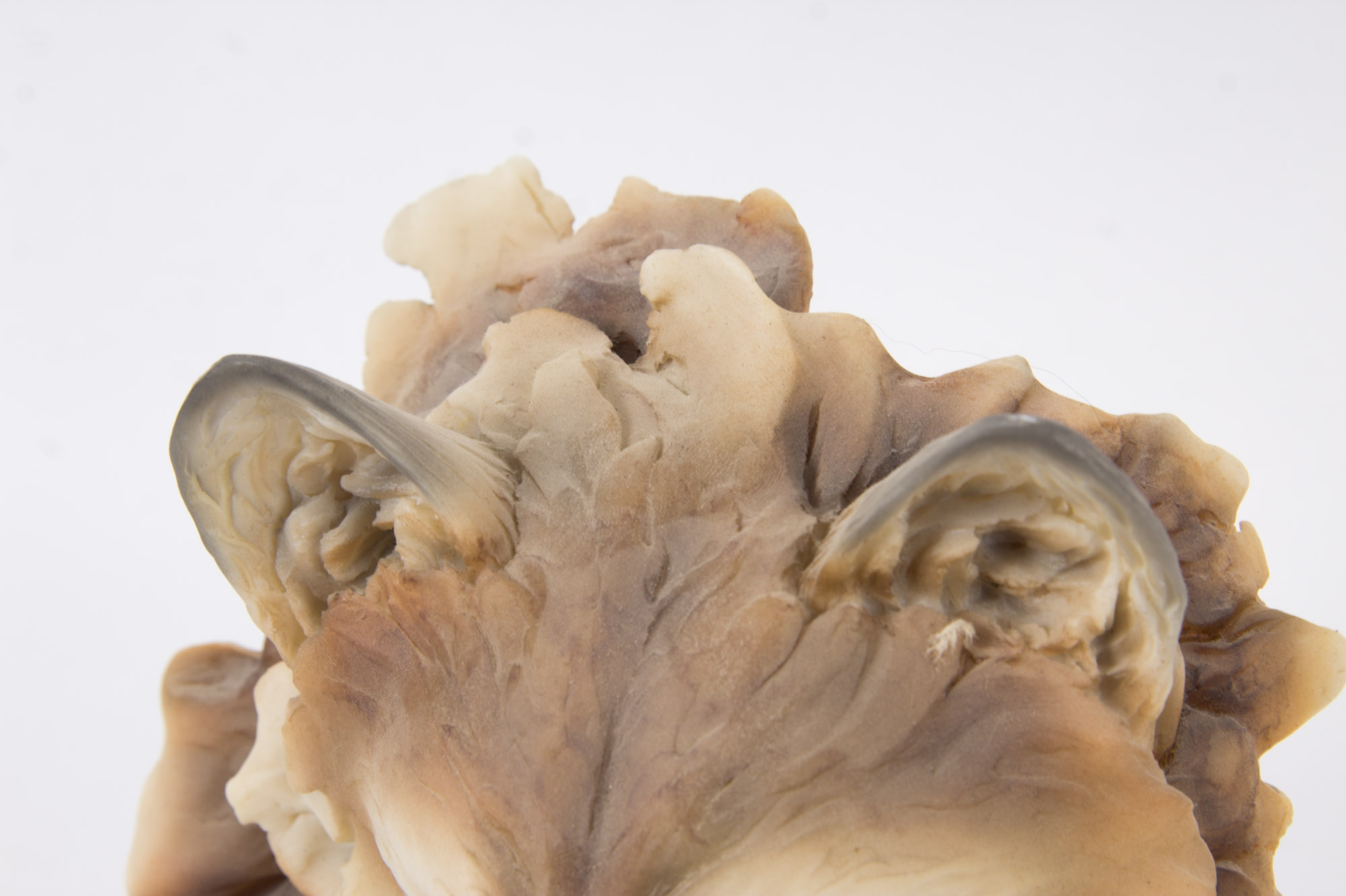 Stephen Herrero Limited Edition Cast Resin Wolf Sculpture "Solitude"