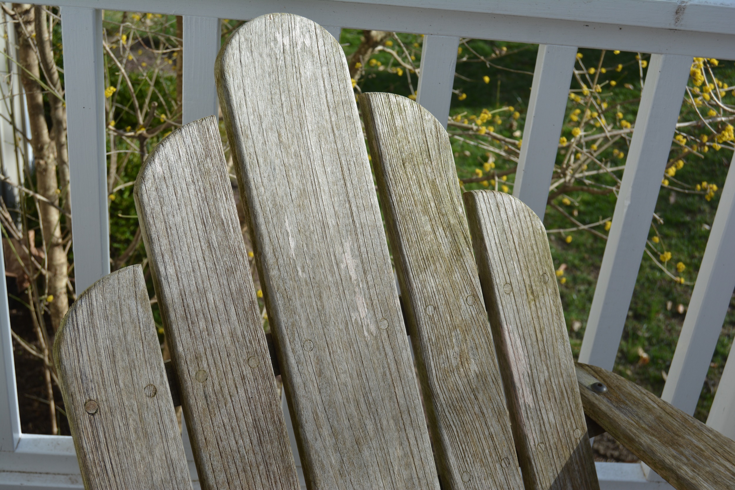 Smith & Hawken Teak Adirondack Chairs