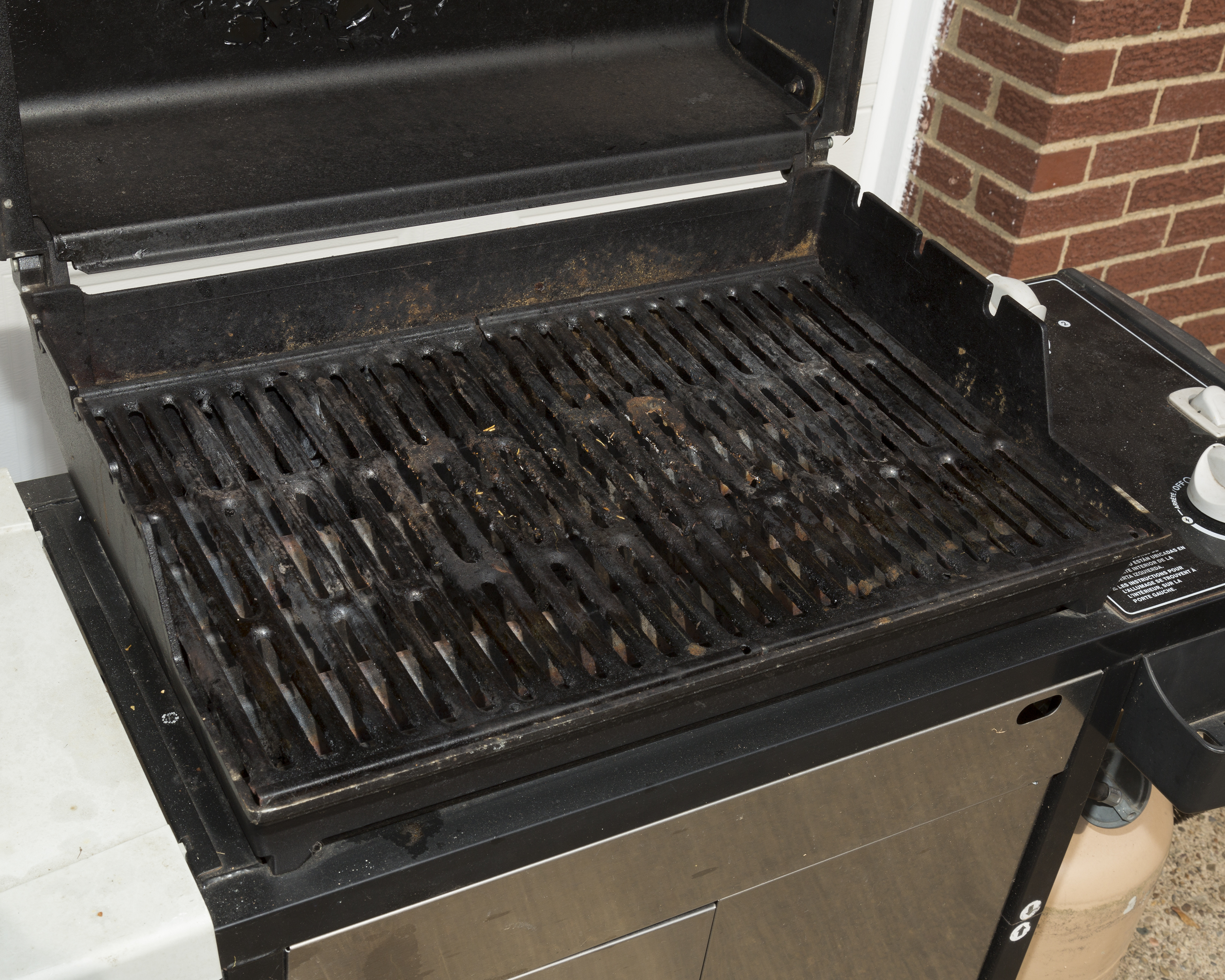 Weber Spirit Outdoor Propane Grill