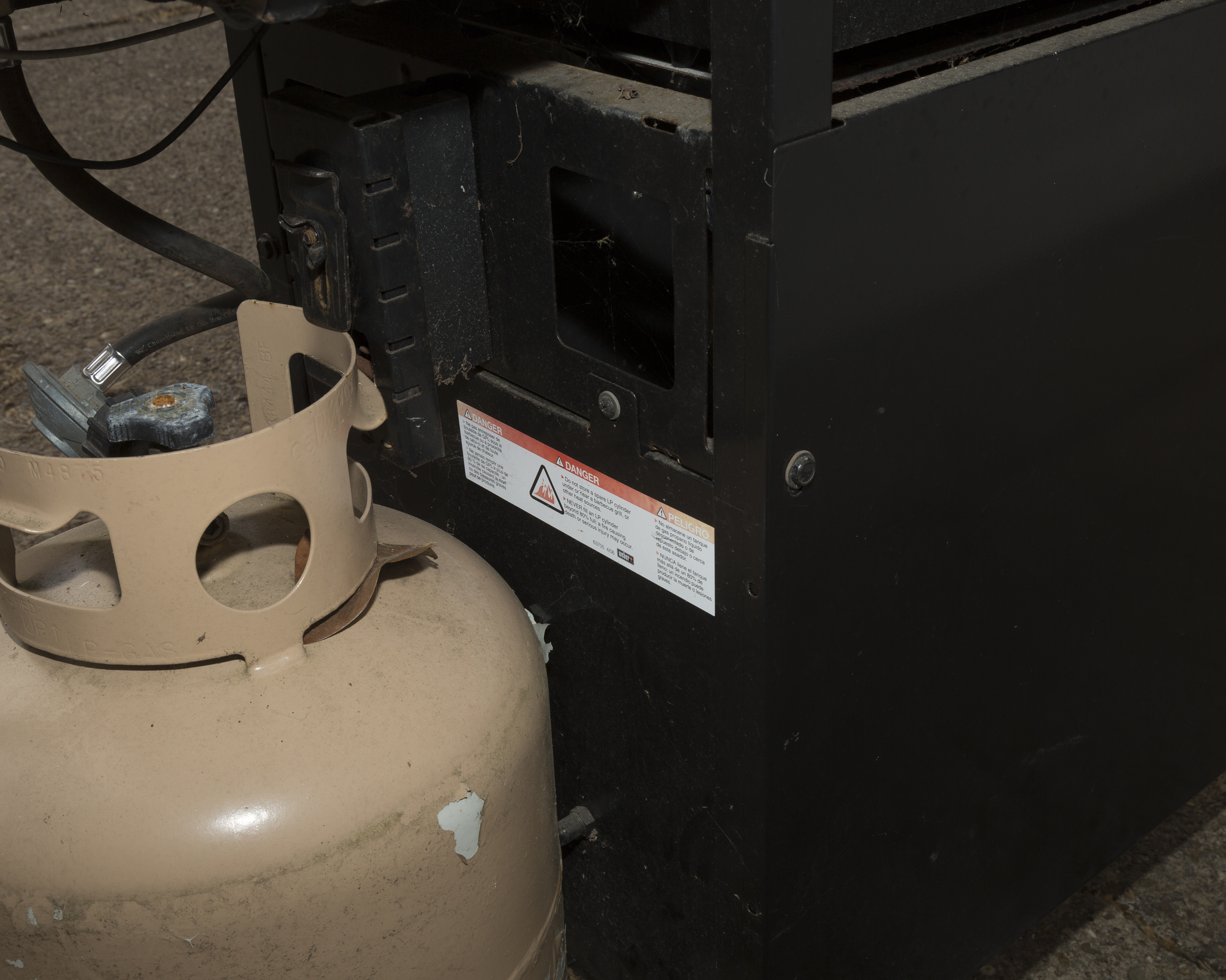 Weber Spirit Outdoor Propane Grill