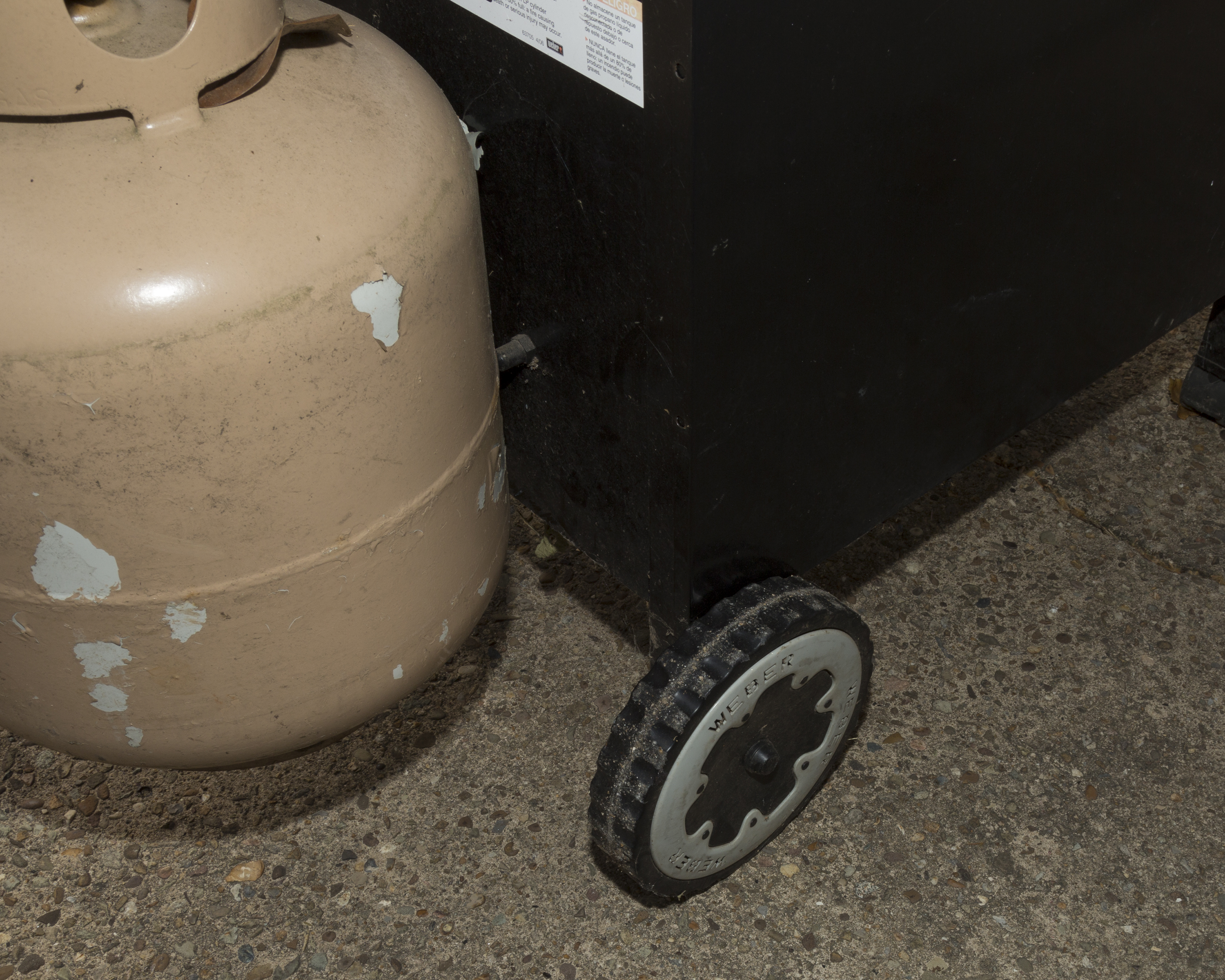 Weber Spirit Outdoor Propane Grill