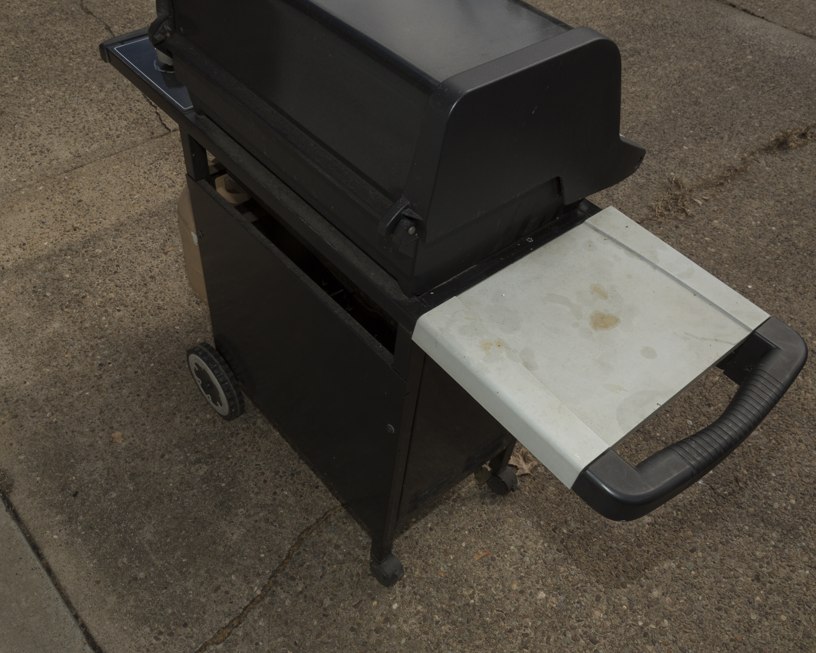 Weber Spirit Outdoor Propane Grill