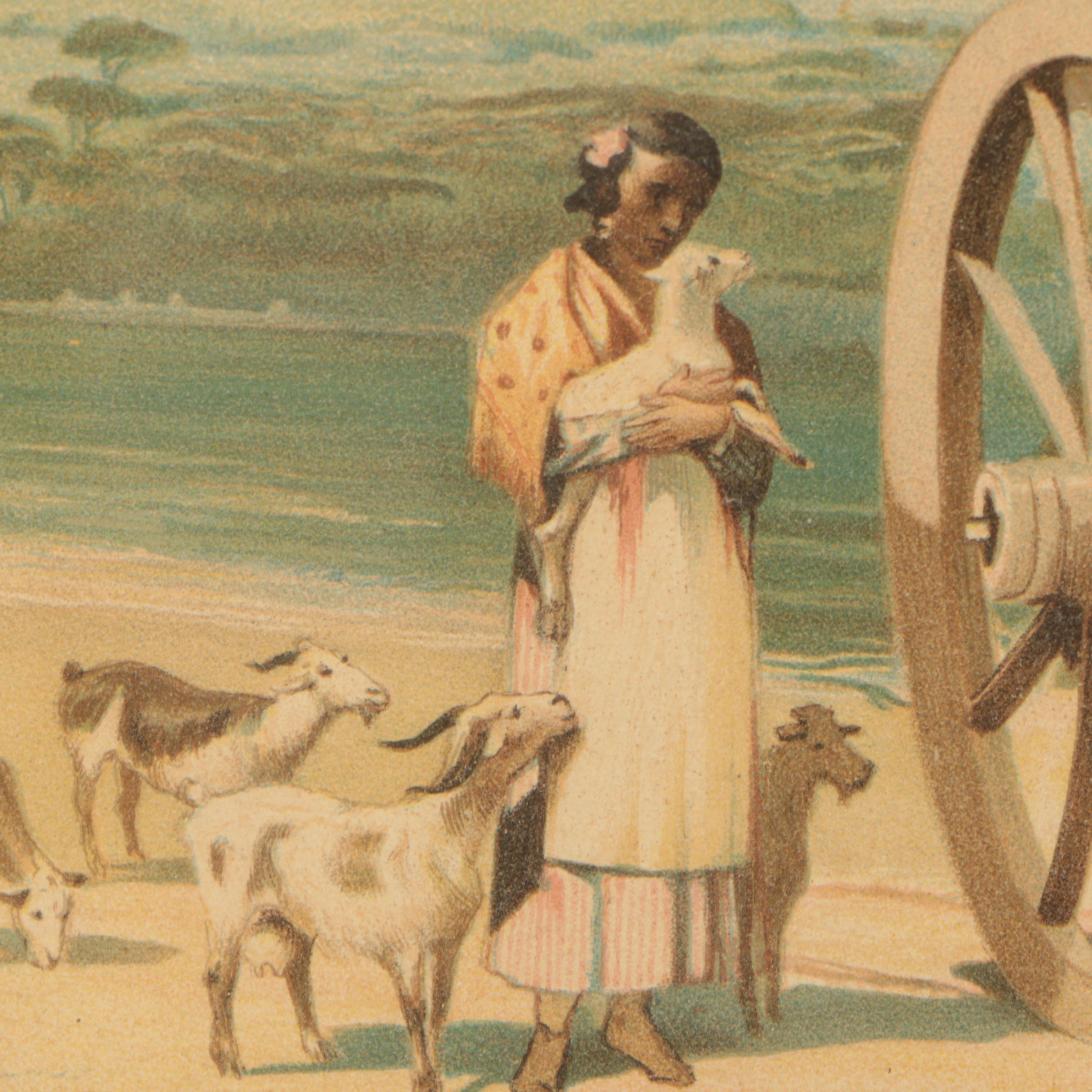 1889 Chromolithograph Supplemental Print from "The Art Amateur" Magazine