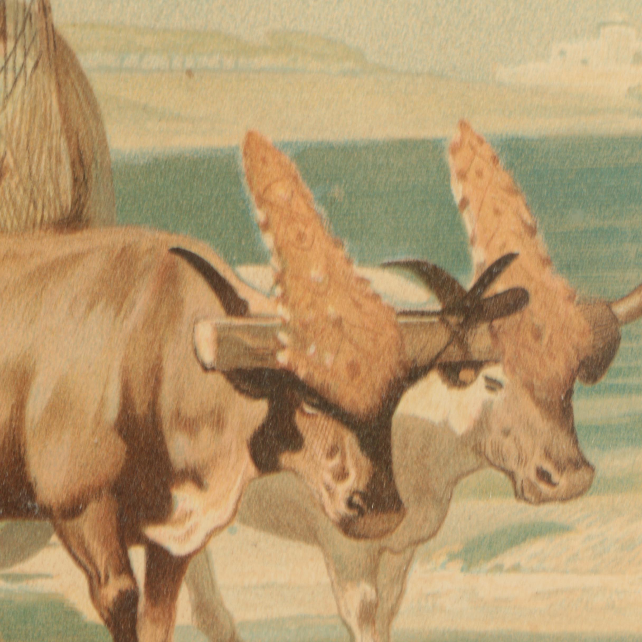 1889 Chromolithograph Supplemental Print from "The Art Amateur" Magazine