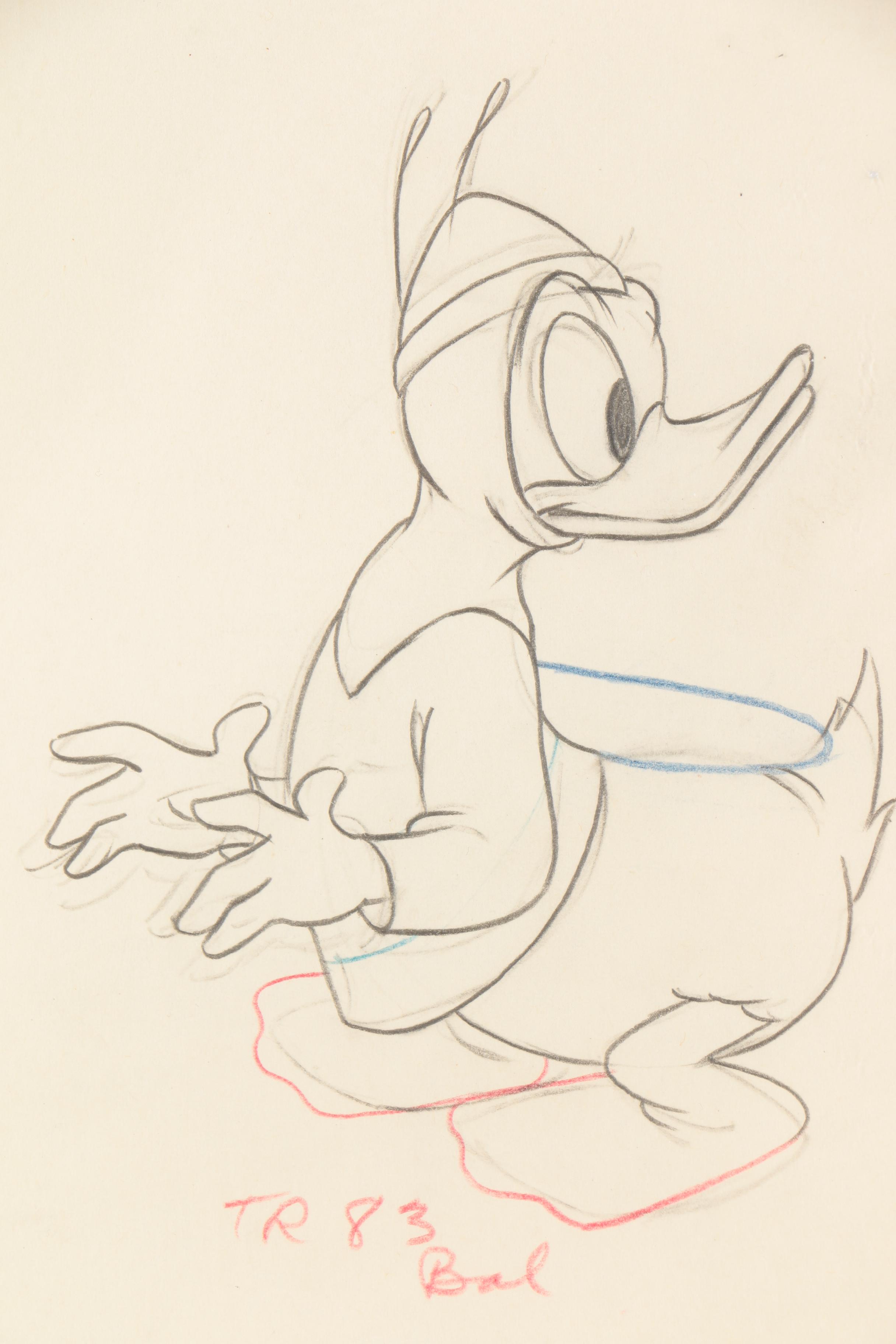 Donald Duck Animation Sketch