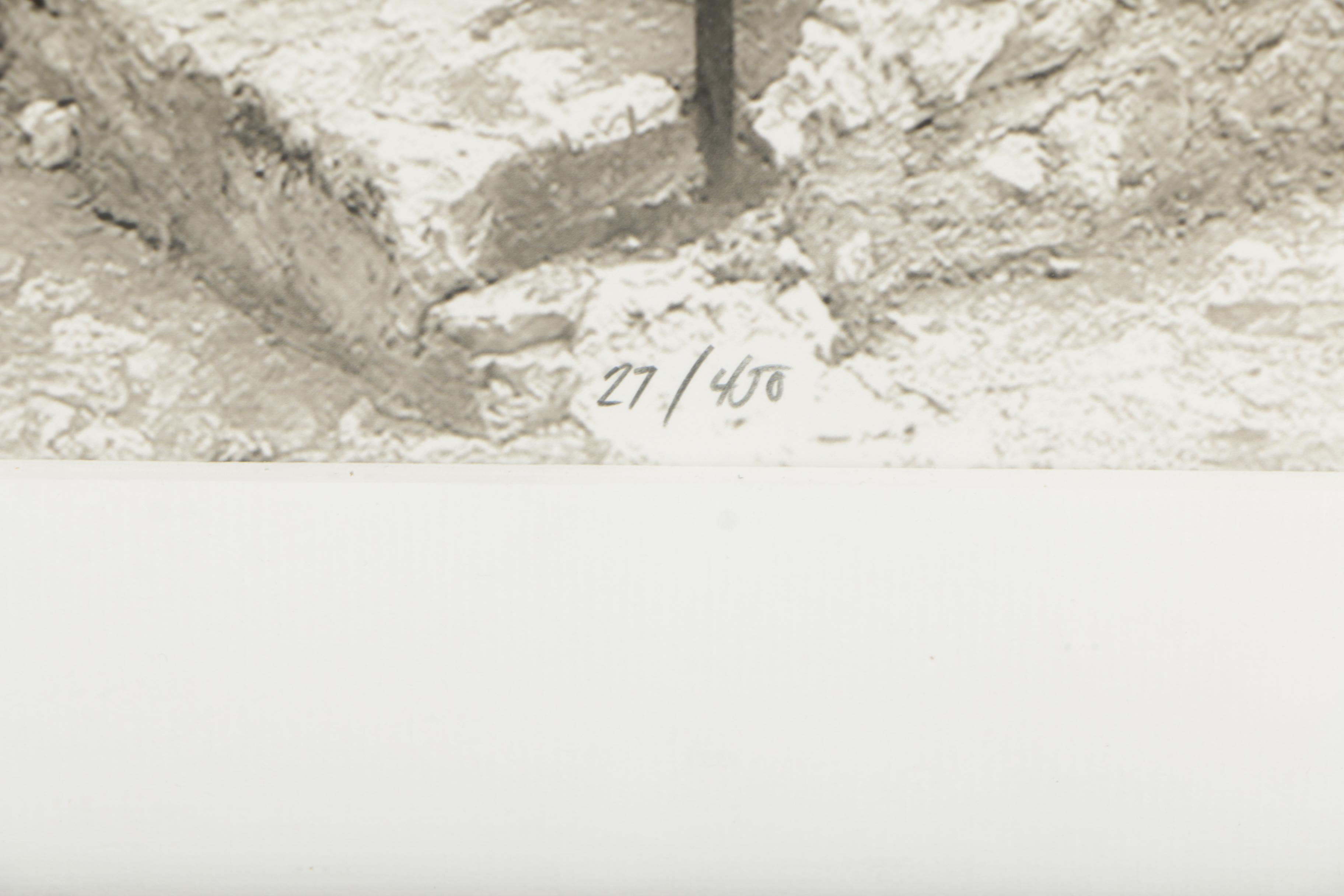 P.T. Turk 2006 Limited Edition Embellished Giclée "The Calling"