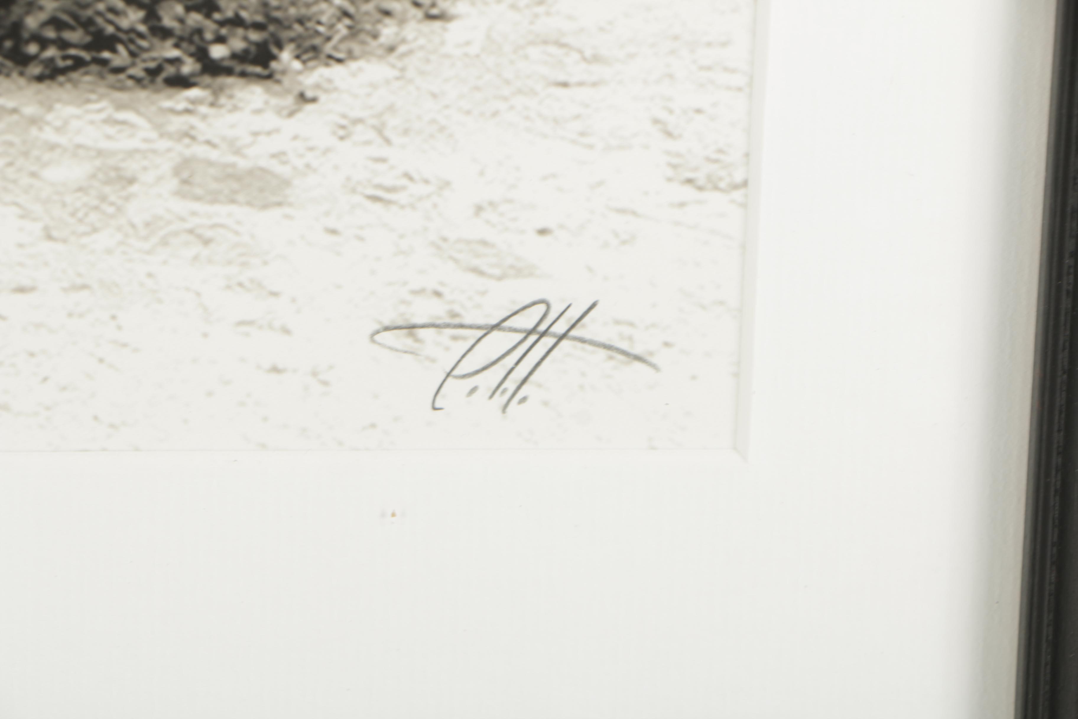 P.T. Turk 2006 Limited Edition Embellished Giclée "The Calling"