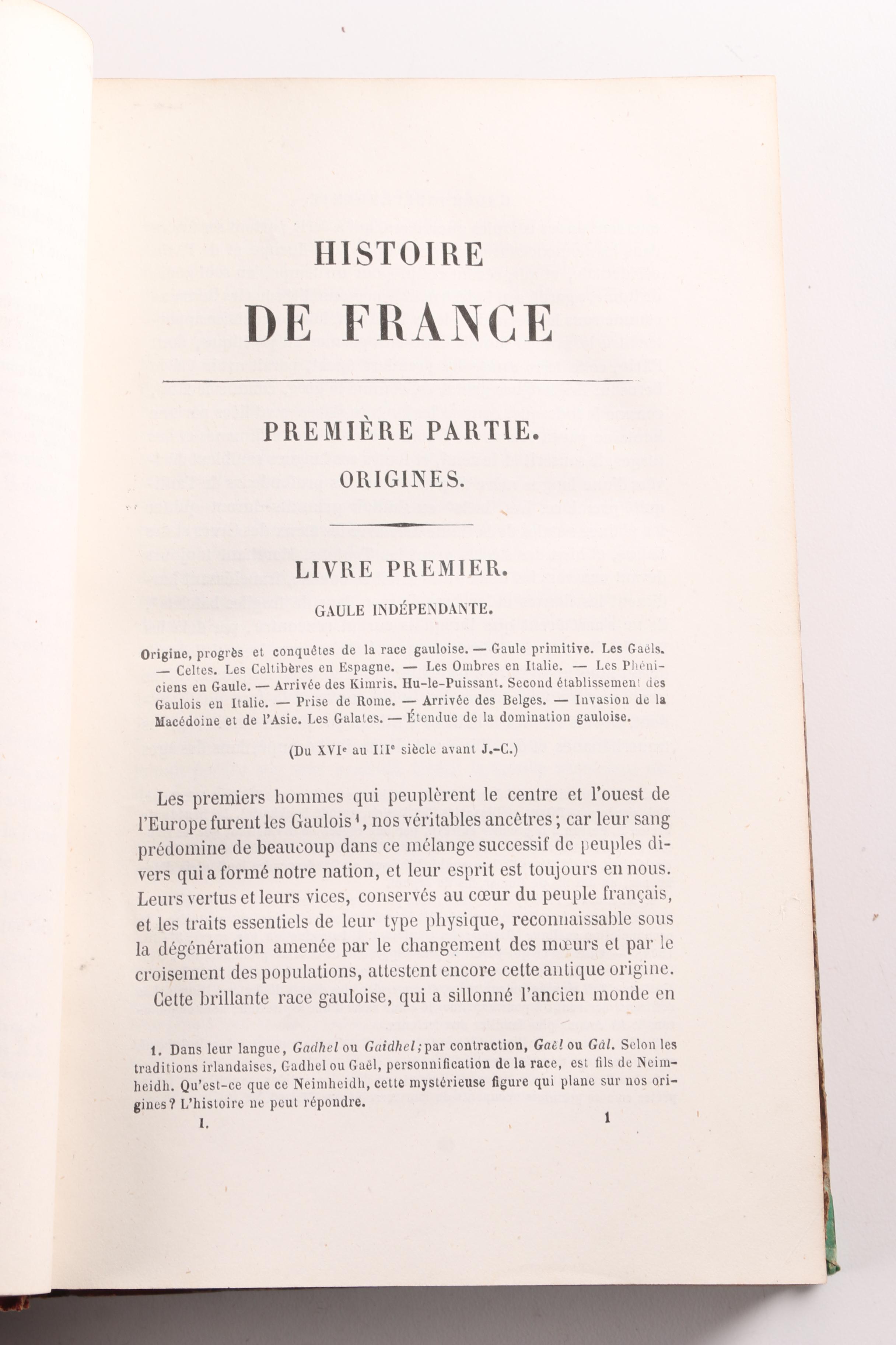 1865 "Histoire de France" by Henri Martin in Seventeen Volumes