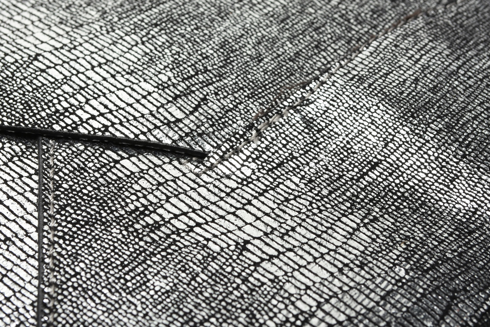 Prada Milano Sacca Sottospalla Purse and BCBGMAXAZRIA Purse