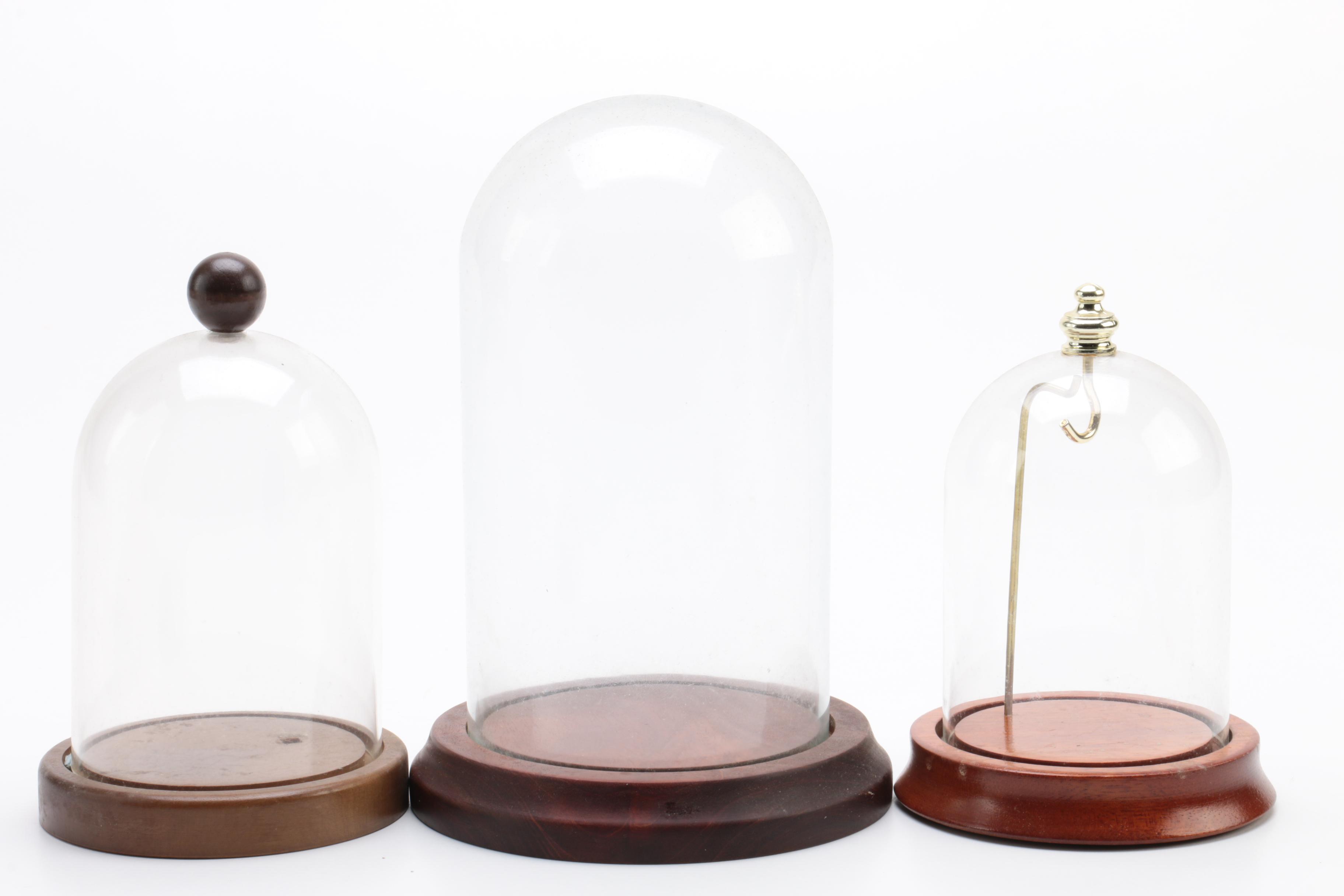 Wood and Plastic Dome Display Cases