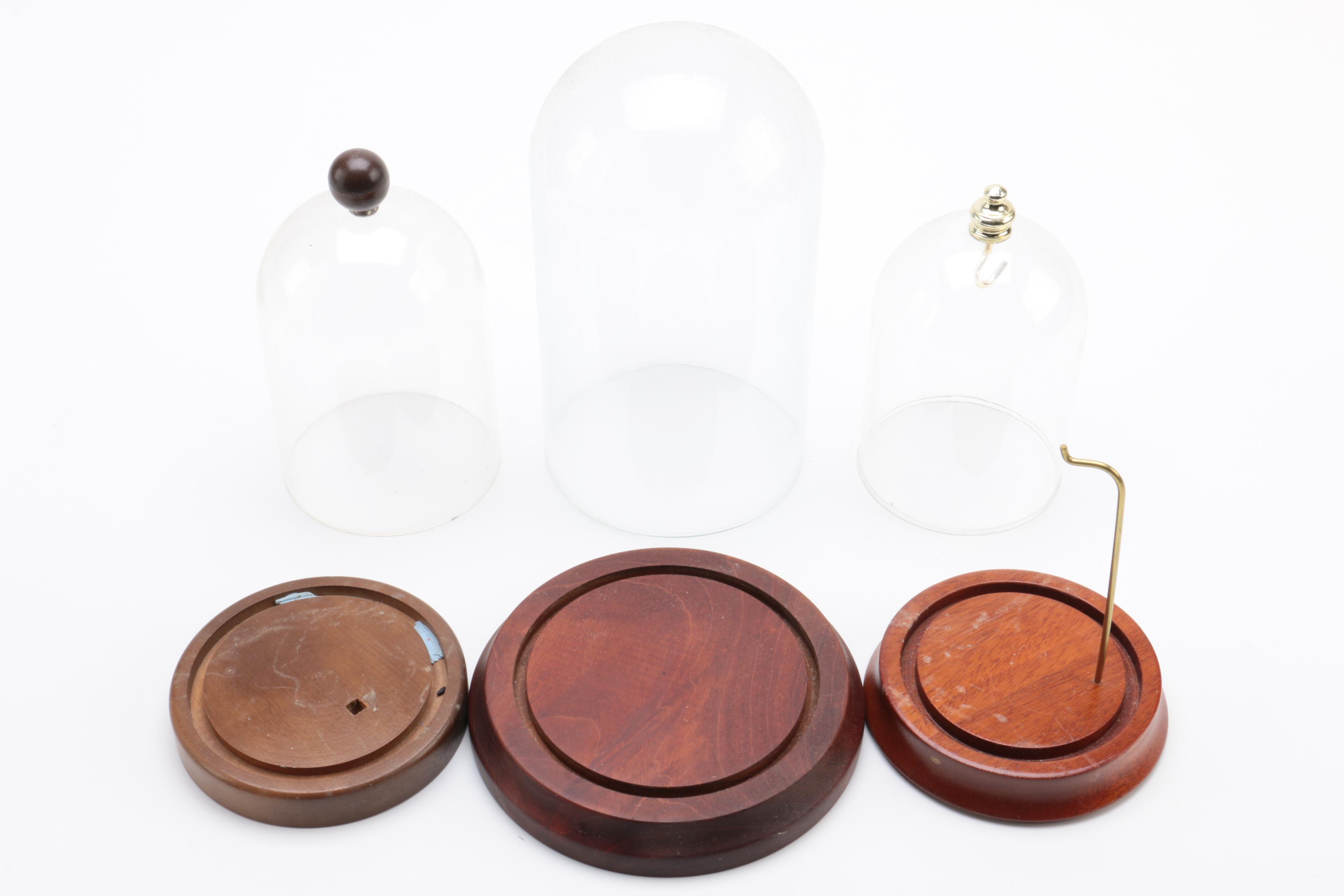 Wood and Plastic Dome Display Cases
