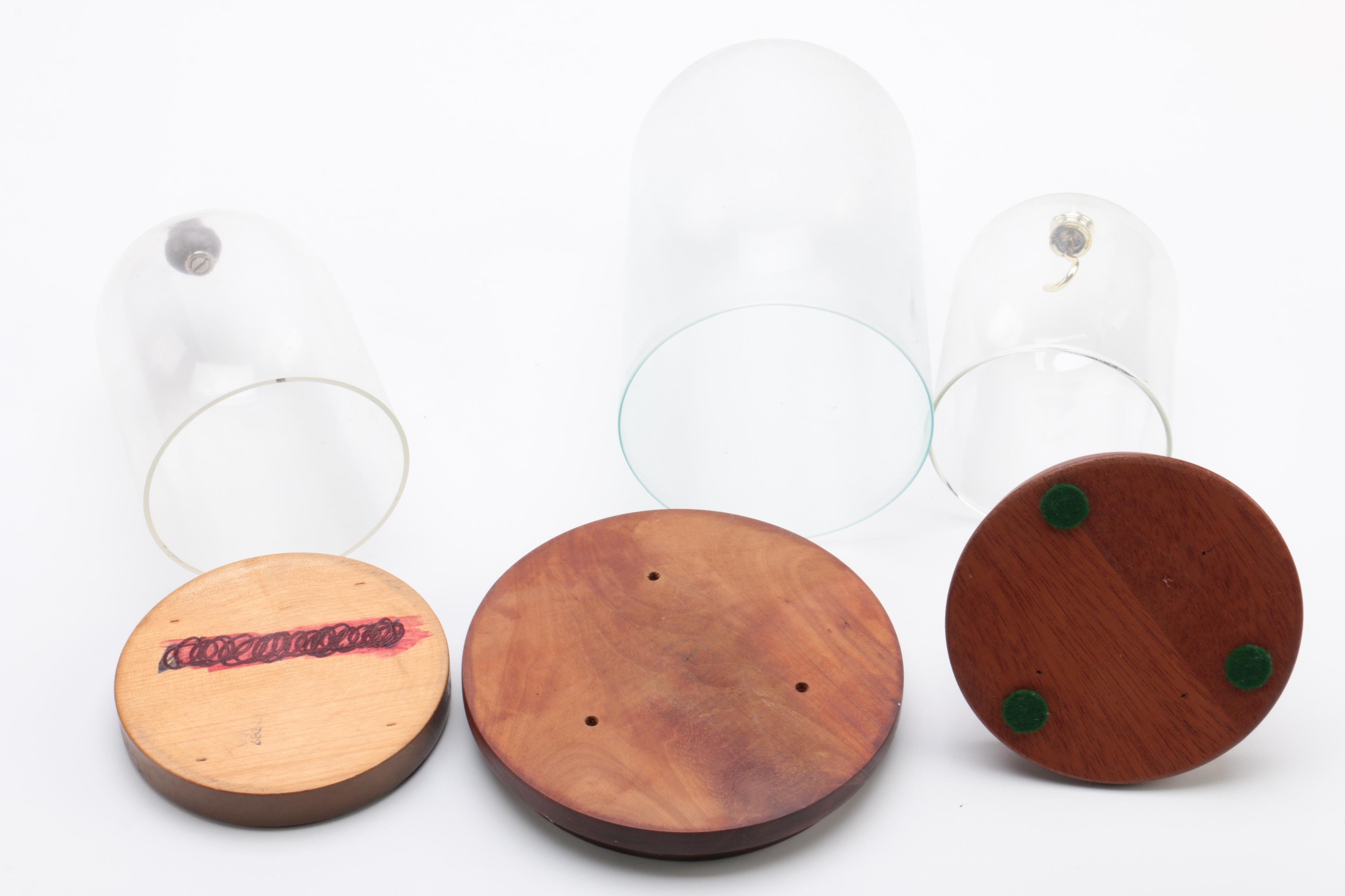 Wood and Plastic Dome Display Cases