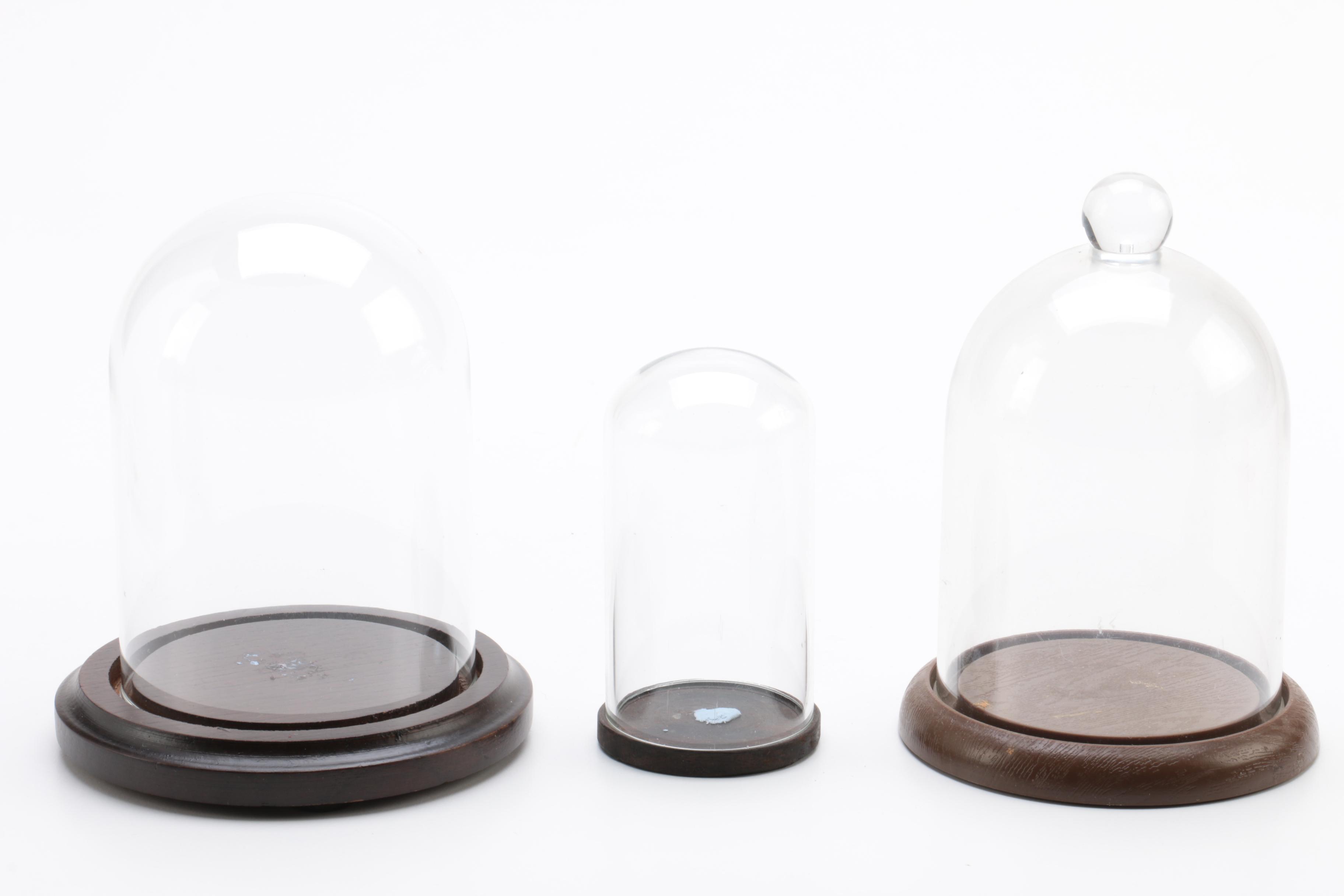 Wood and Plastic Dome Display Cases