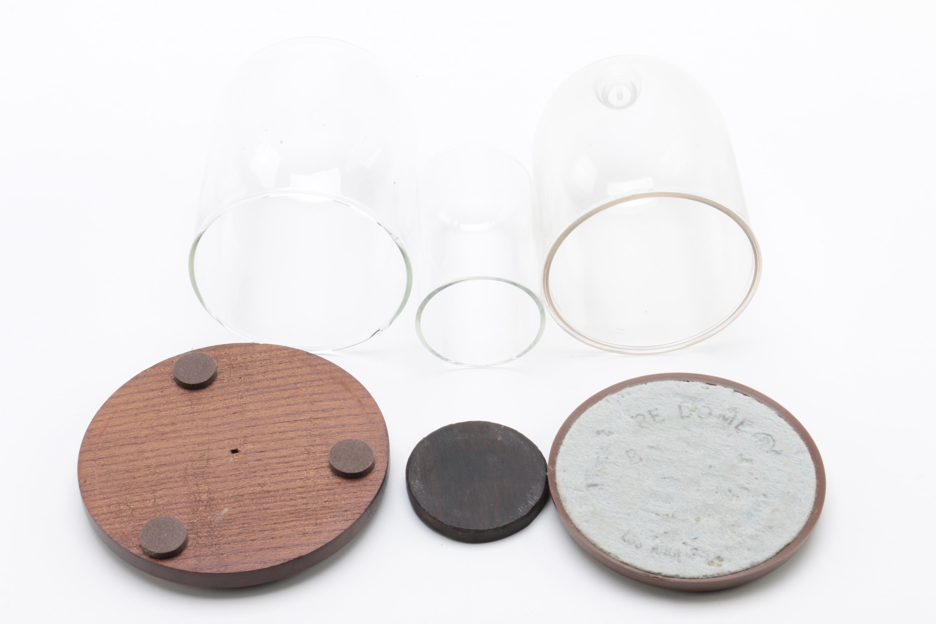 Wood and Plastic Dome Display Cases