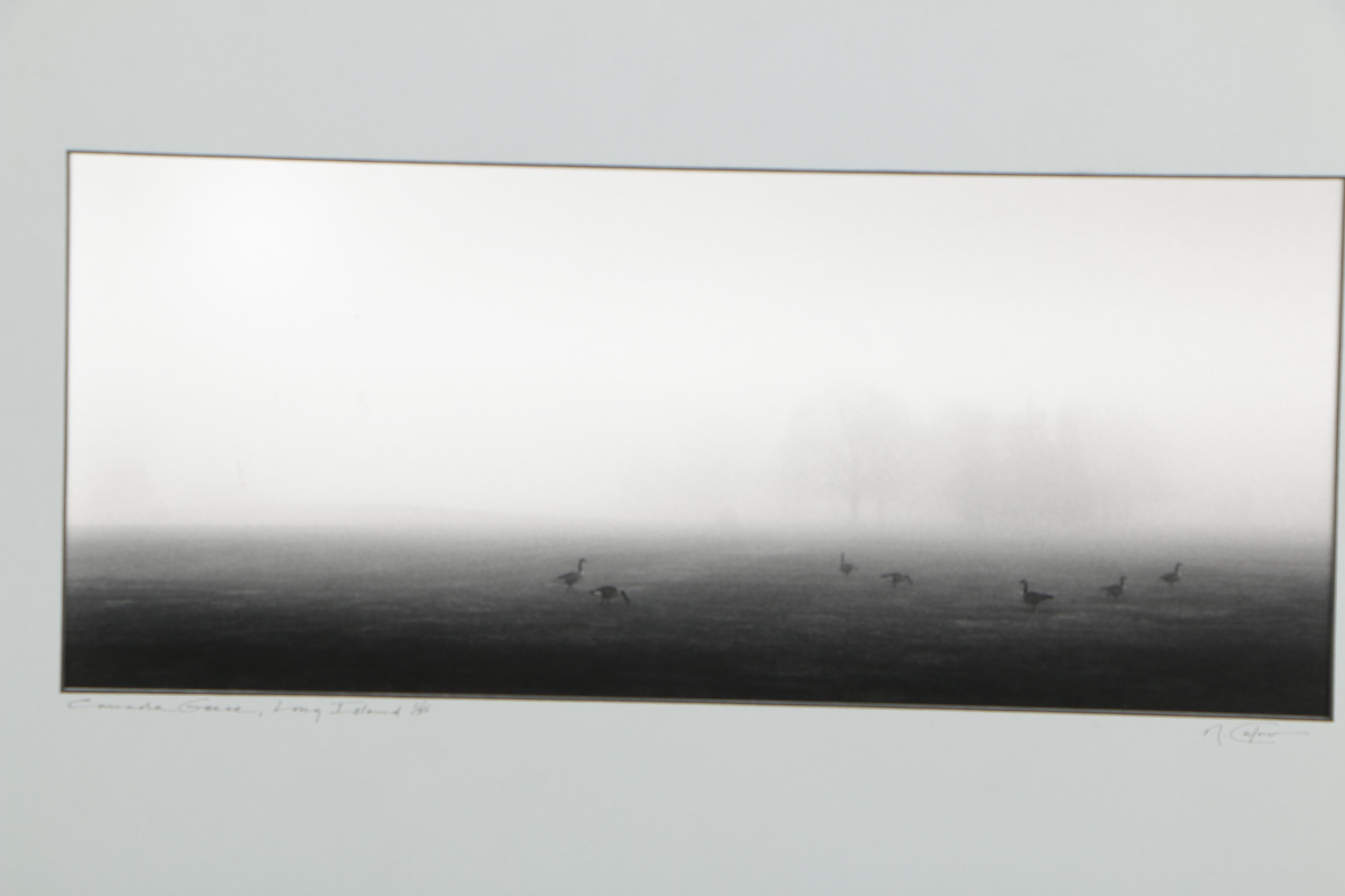 Richard Calvo Limited Edition Digital Photograph "Canada Geese, Long Island"