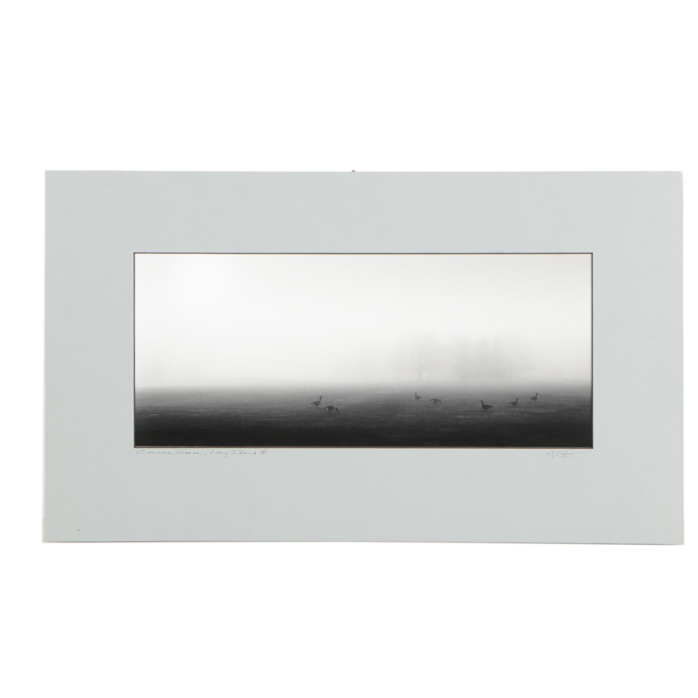 Richard Calvo Limited Edition Digital Photograph "Canada Geese, Long Island"