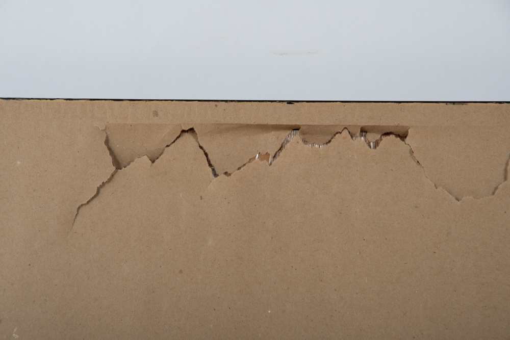 Munich Zoological Garden Poster in Frame