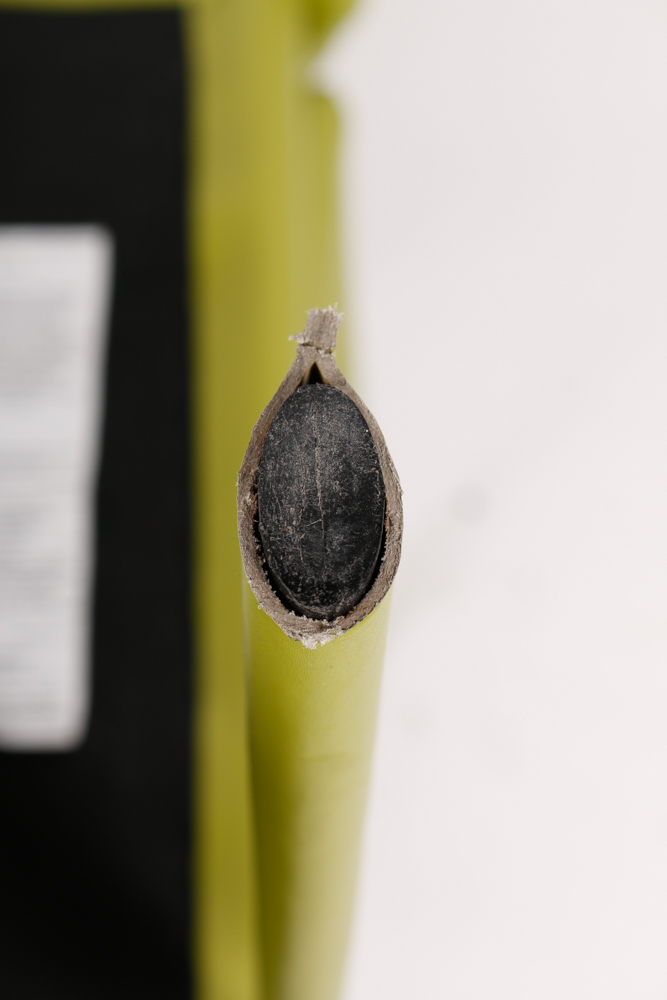 Pair of Modern Style Green Side Chairs