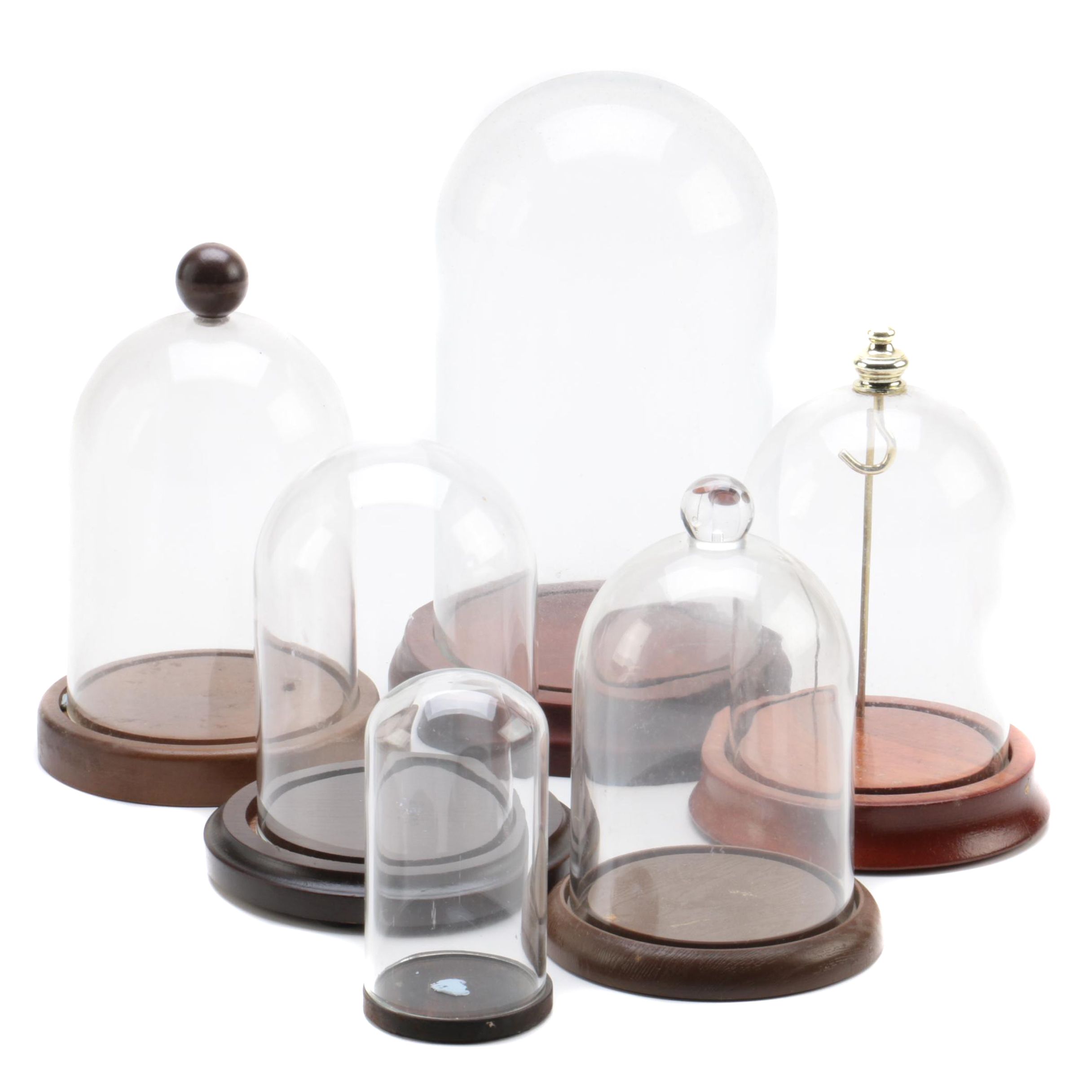 Wood and Plastic Dome Display Cases