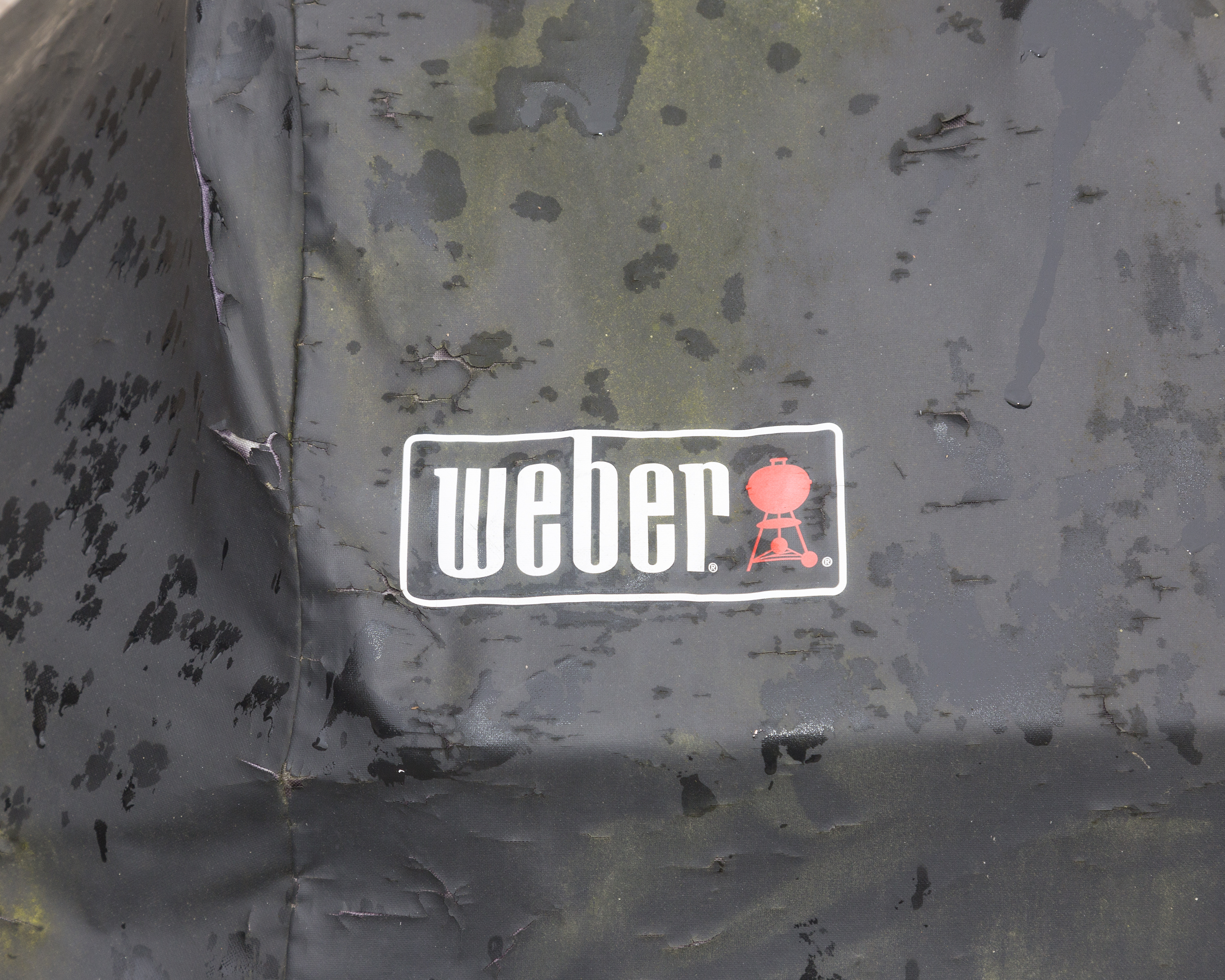 Weber Genesis E-330 Gas Grill in Black