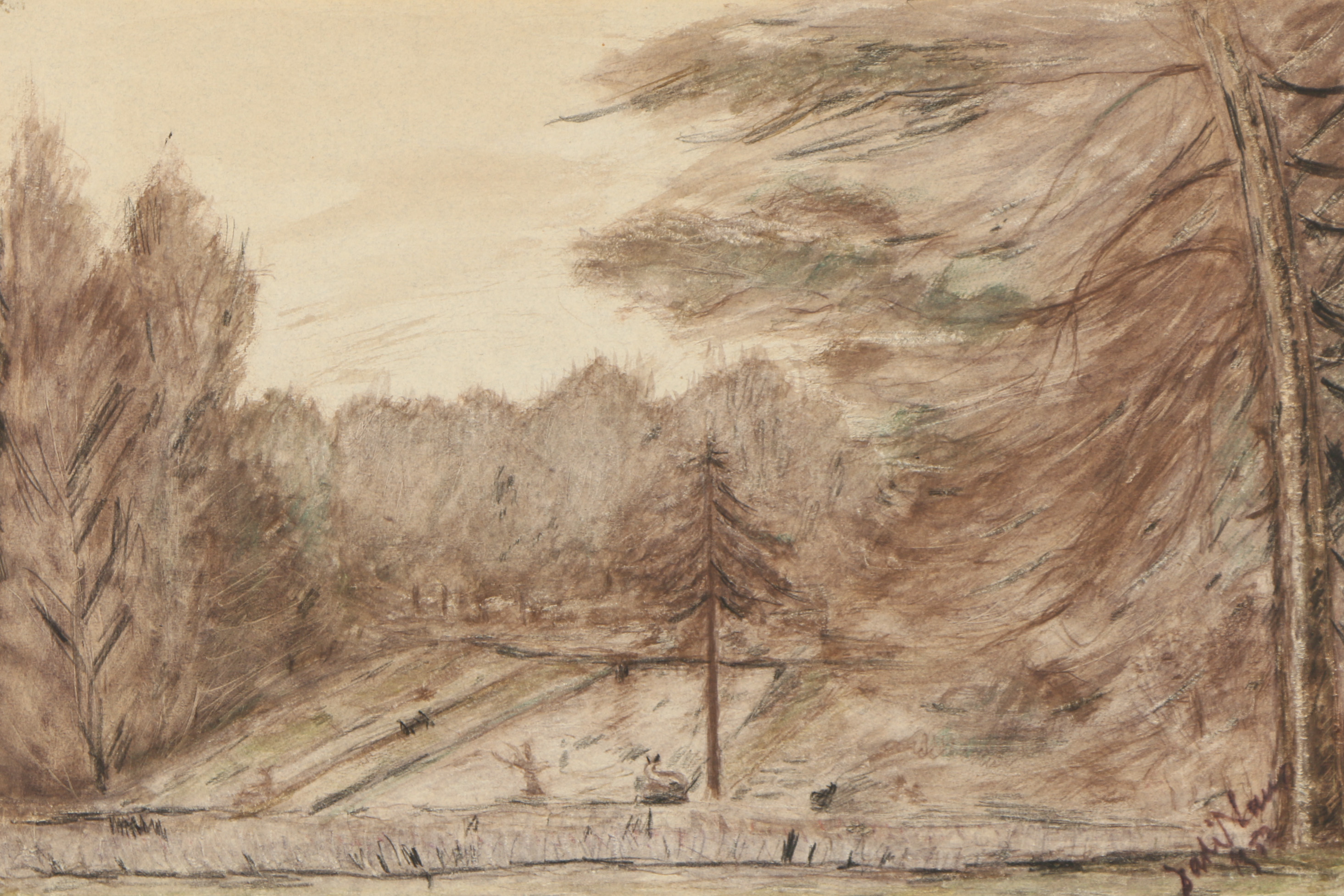 Color Pencil Drawing of Wooded Scene