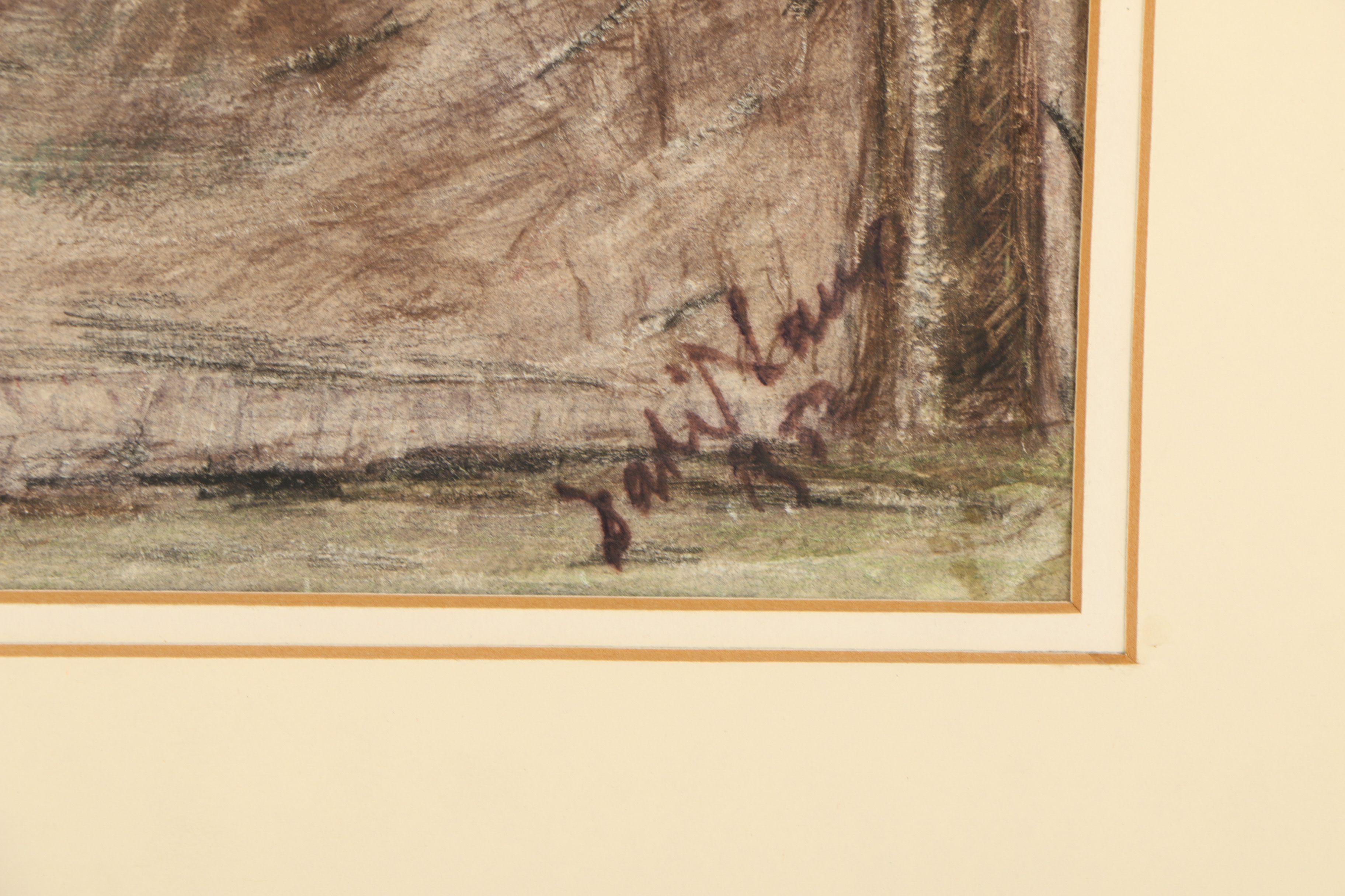 Color Pencil Drawing of Wooded Scene