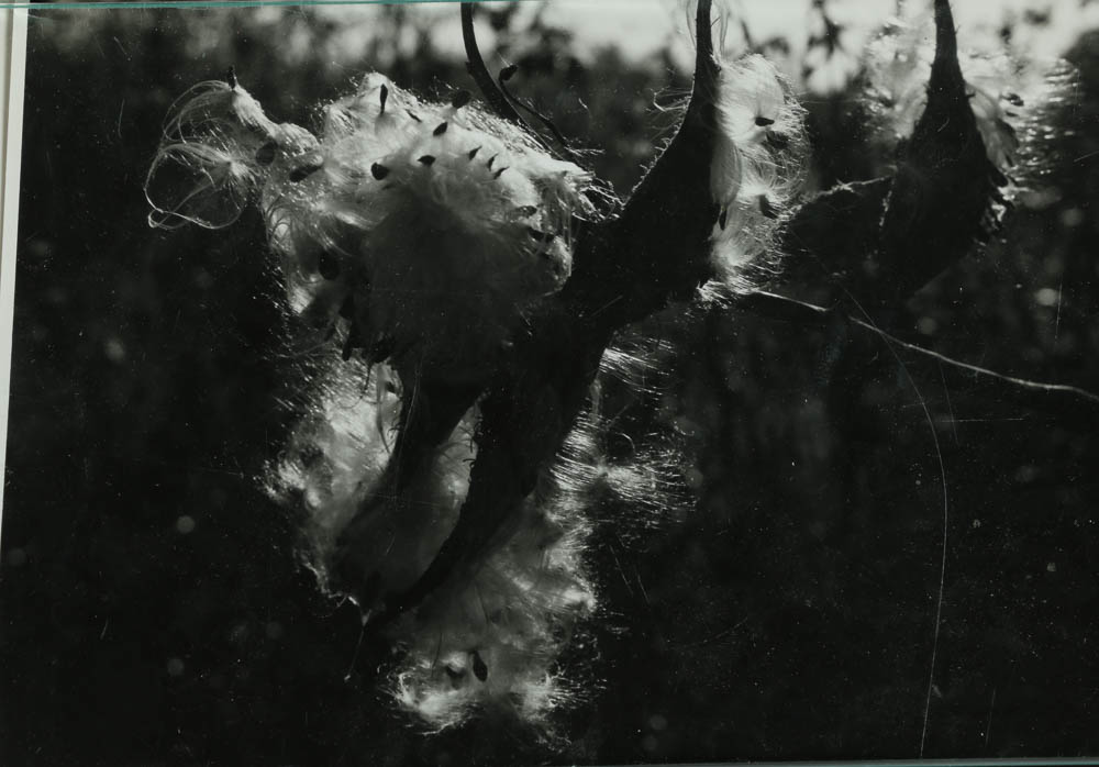 Don Dover Photographs