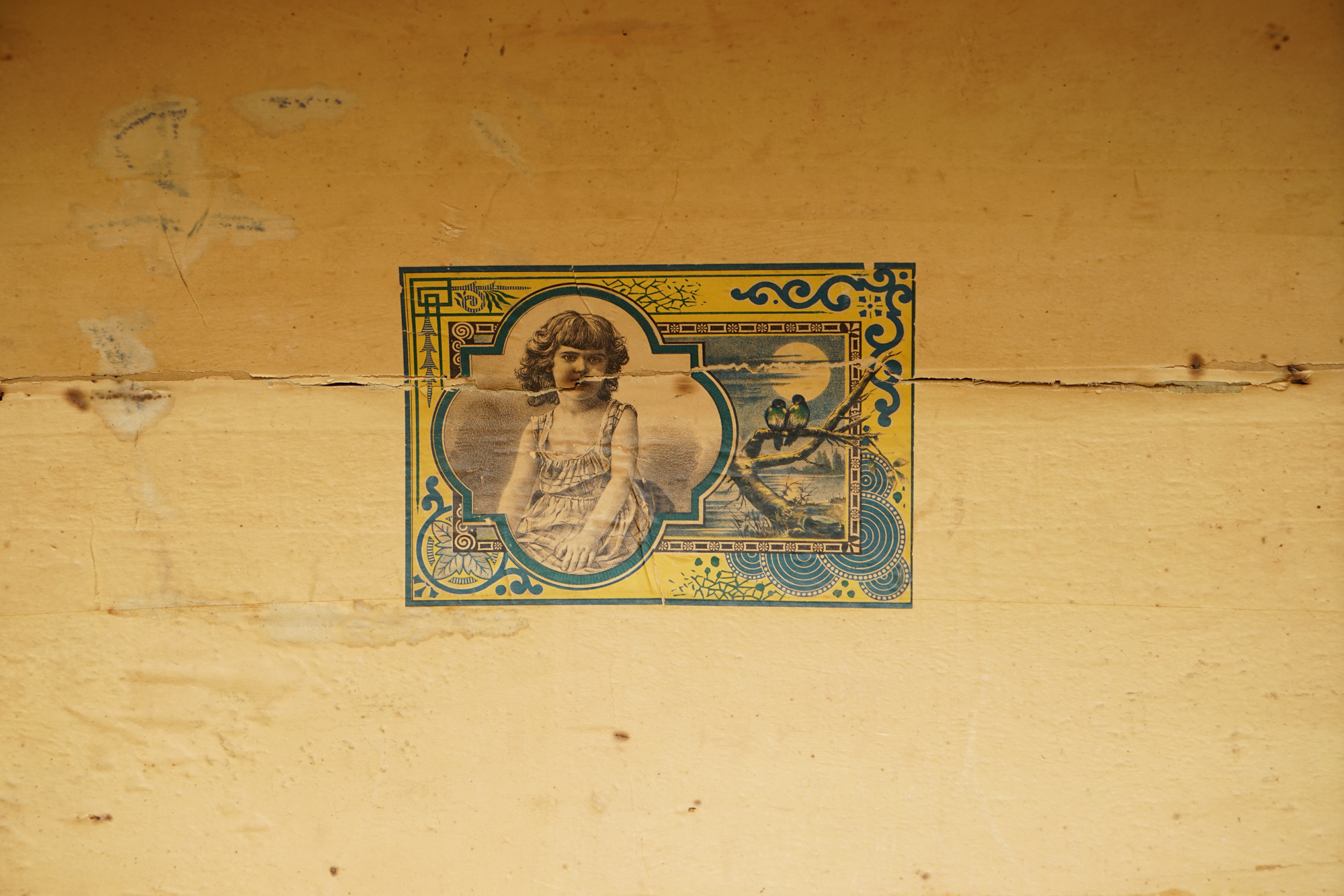 Vintage Dome Top Trunk with Casters