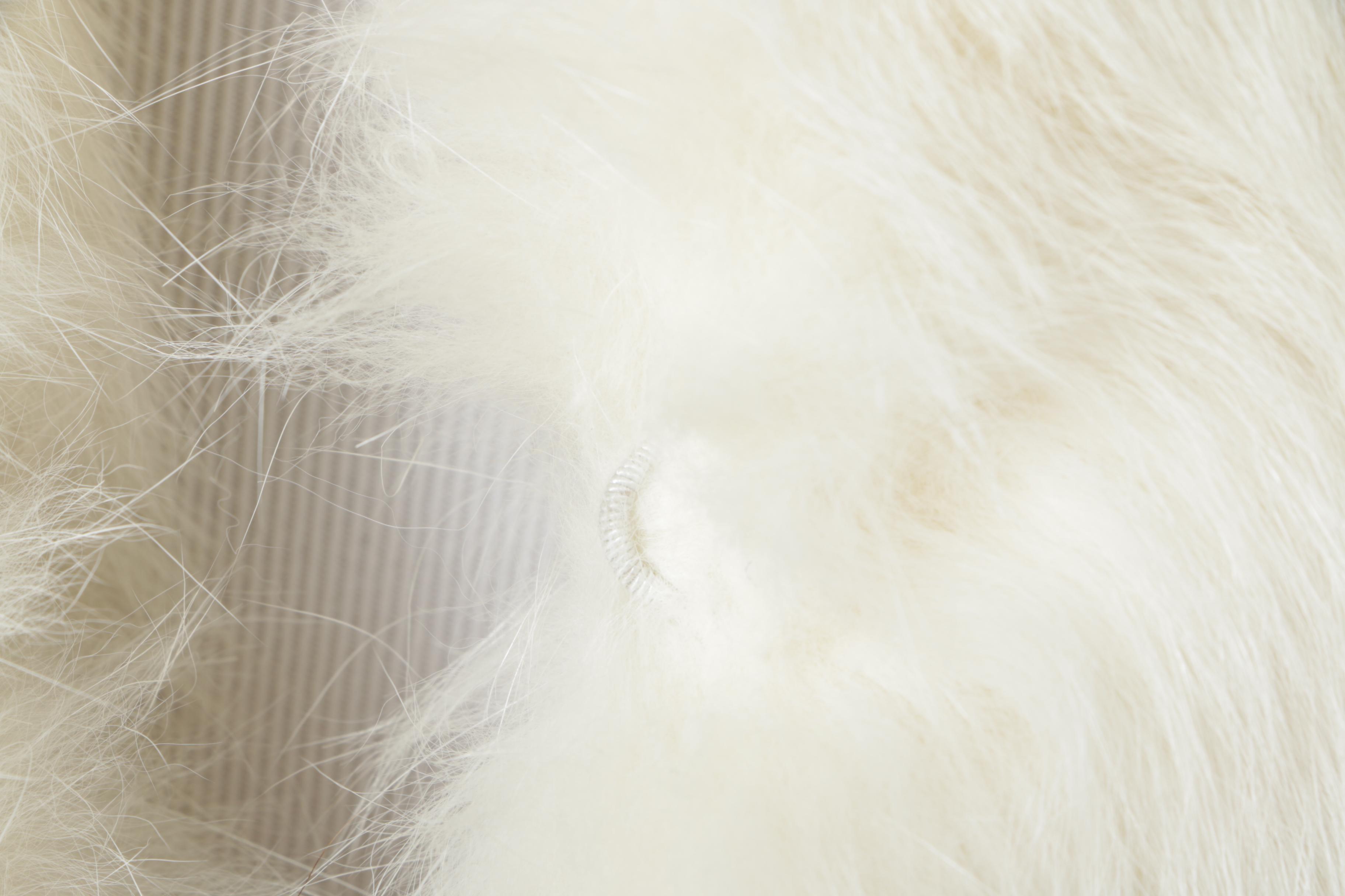 Women's Platinum Mink Fur Coat with White Fox Fur Collar