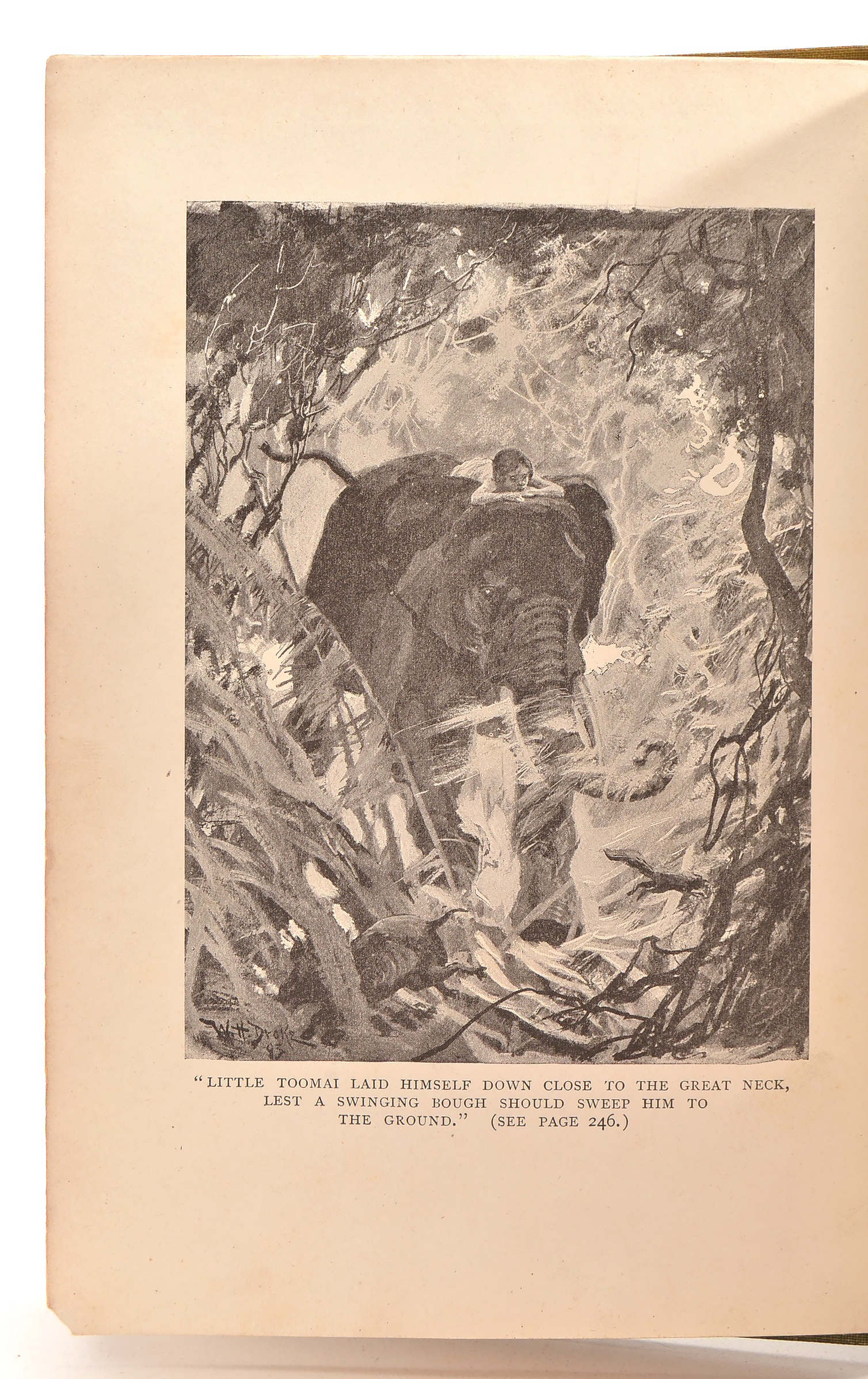 1894 First American Edition "The Jungle Book" by Rudyard Kipling