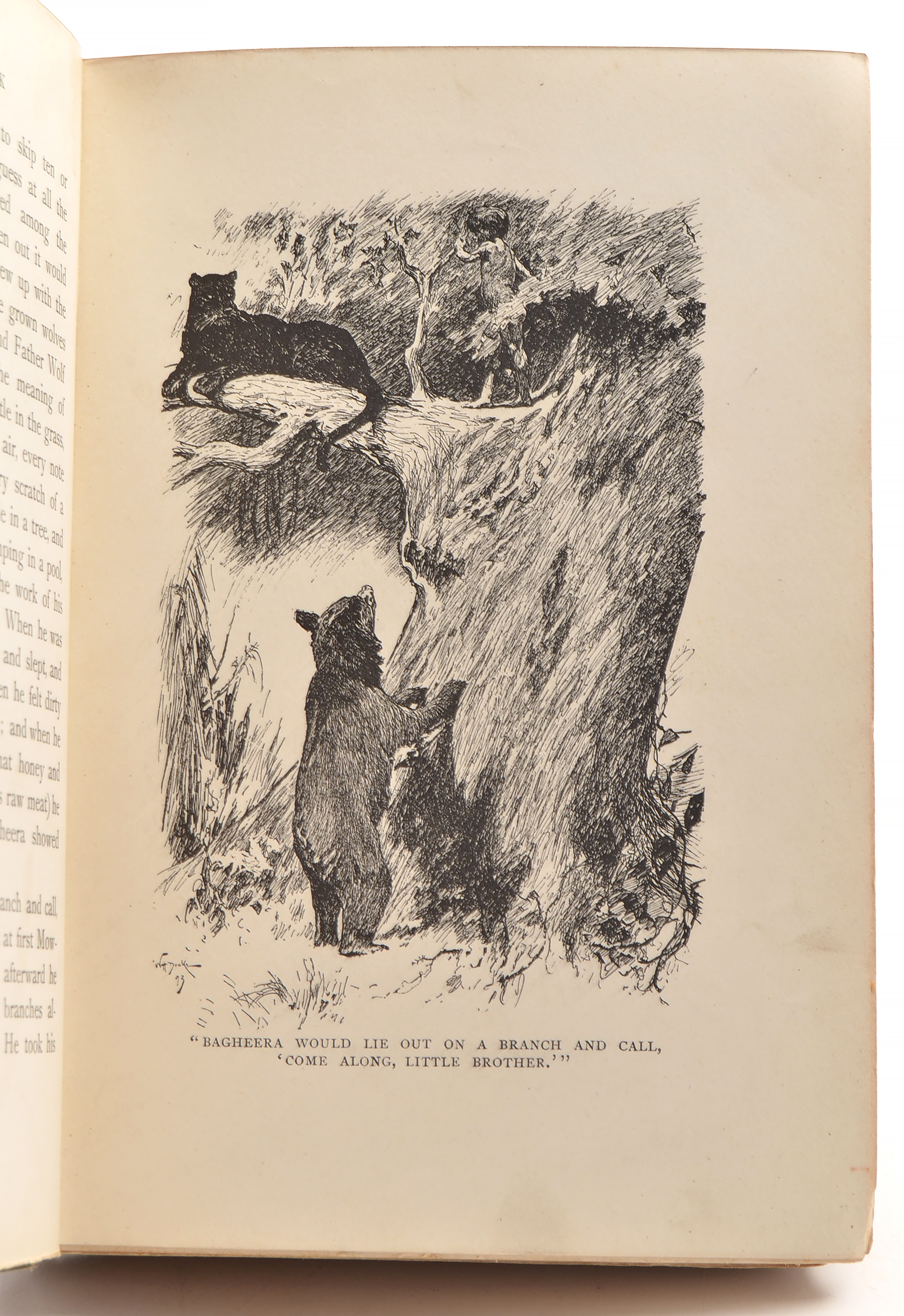1894 First American Edition "The Jungle Book" by Rudyard Kipling