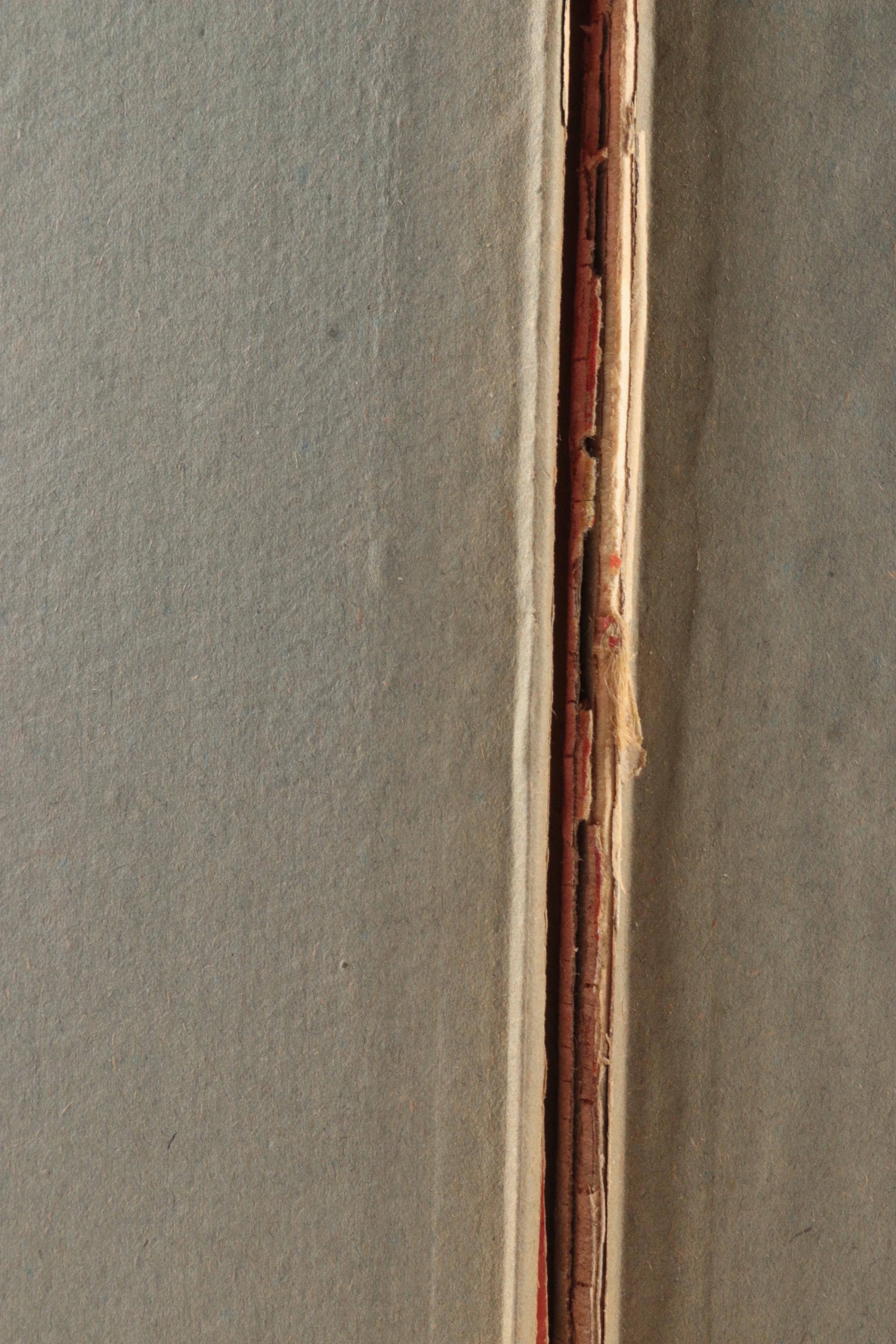 1895 Hortense Fabrics "Les Dernières Modes de Paris" Fashion Plates Booklet