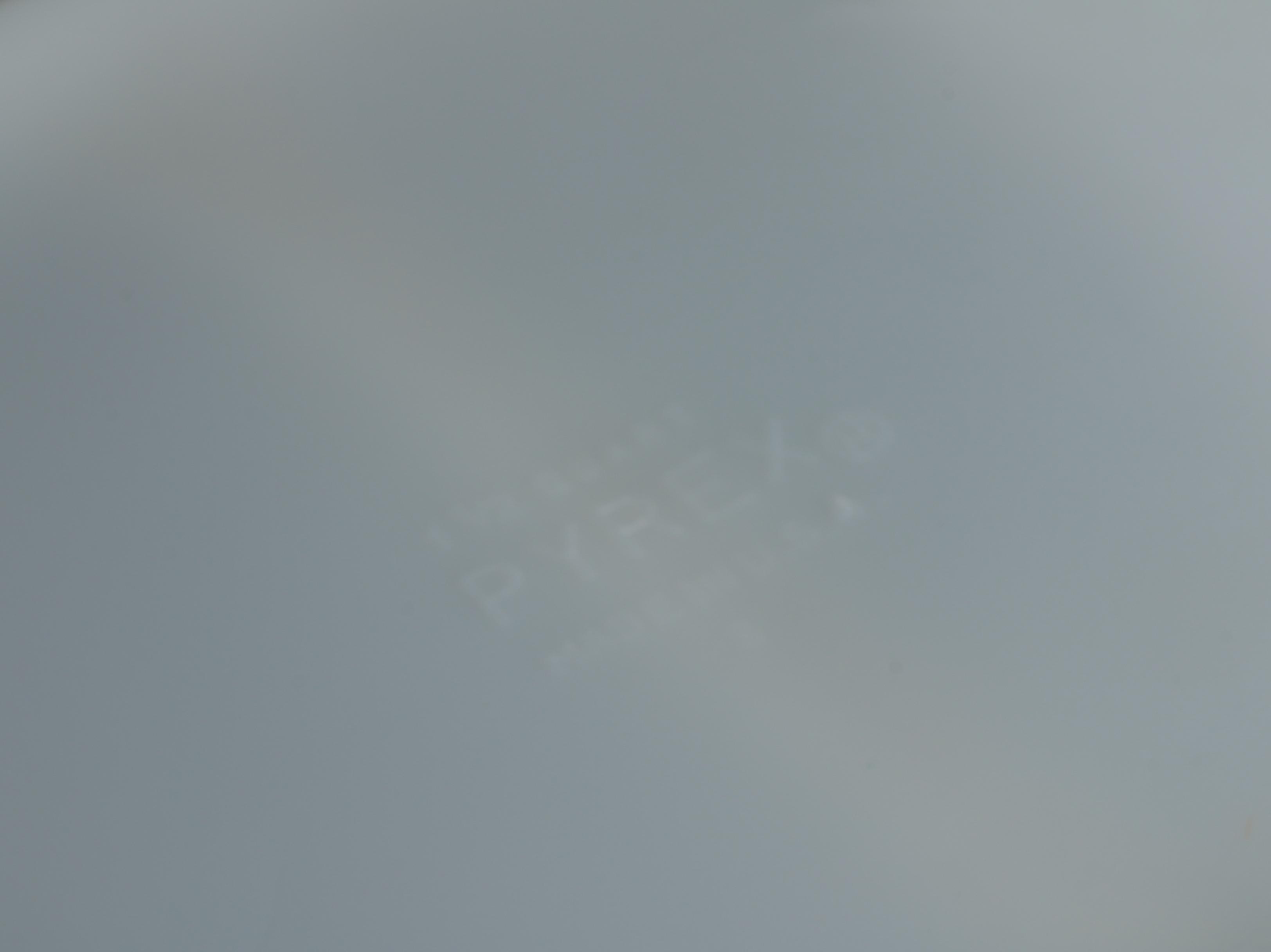 Pyrex "Royal Wheat" Divided Casserole Dish with Lids, Circa 1960