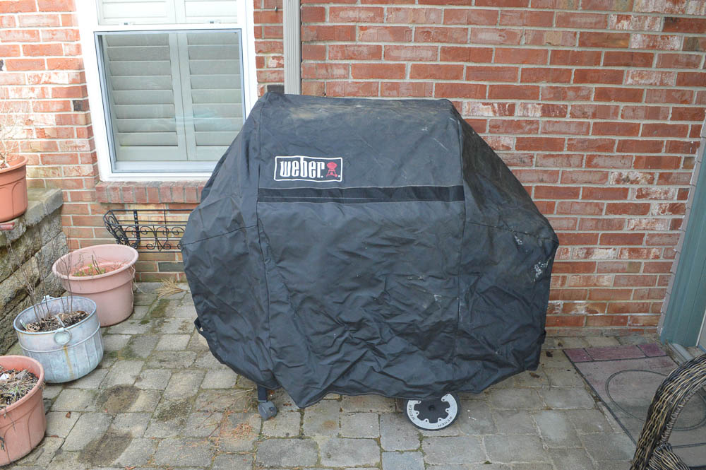 Weber Genesis Silver Propane Grill